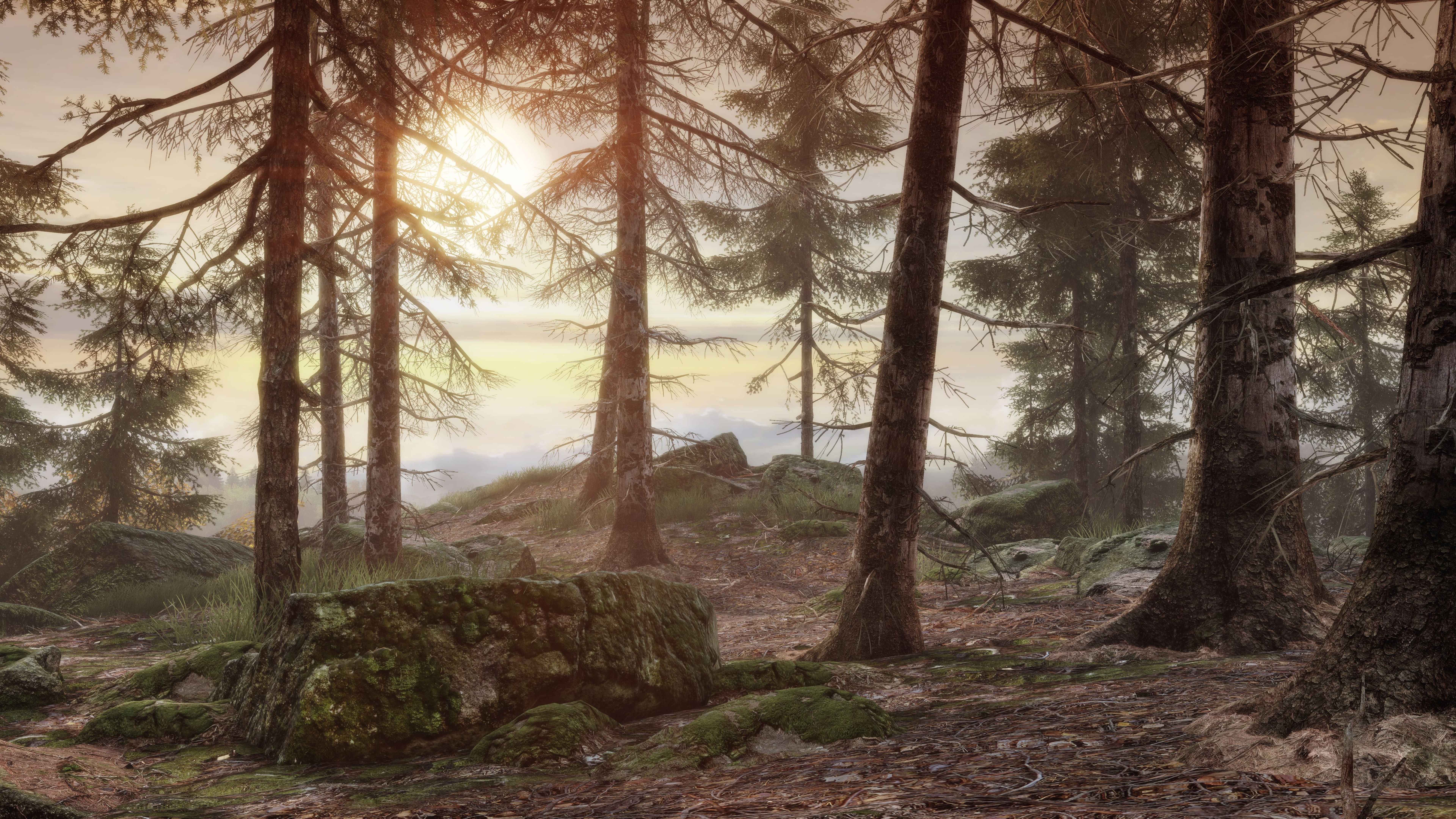 rock, Benoît Sokal, Nintendo Switch, iOS, woods, green, best games, 8K, Xbox One, brown, OS X, PS 4, Syberia 3, daytime, PC, HD Wallpaper