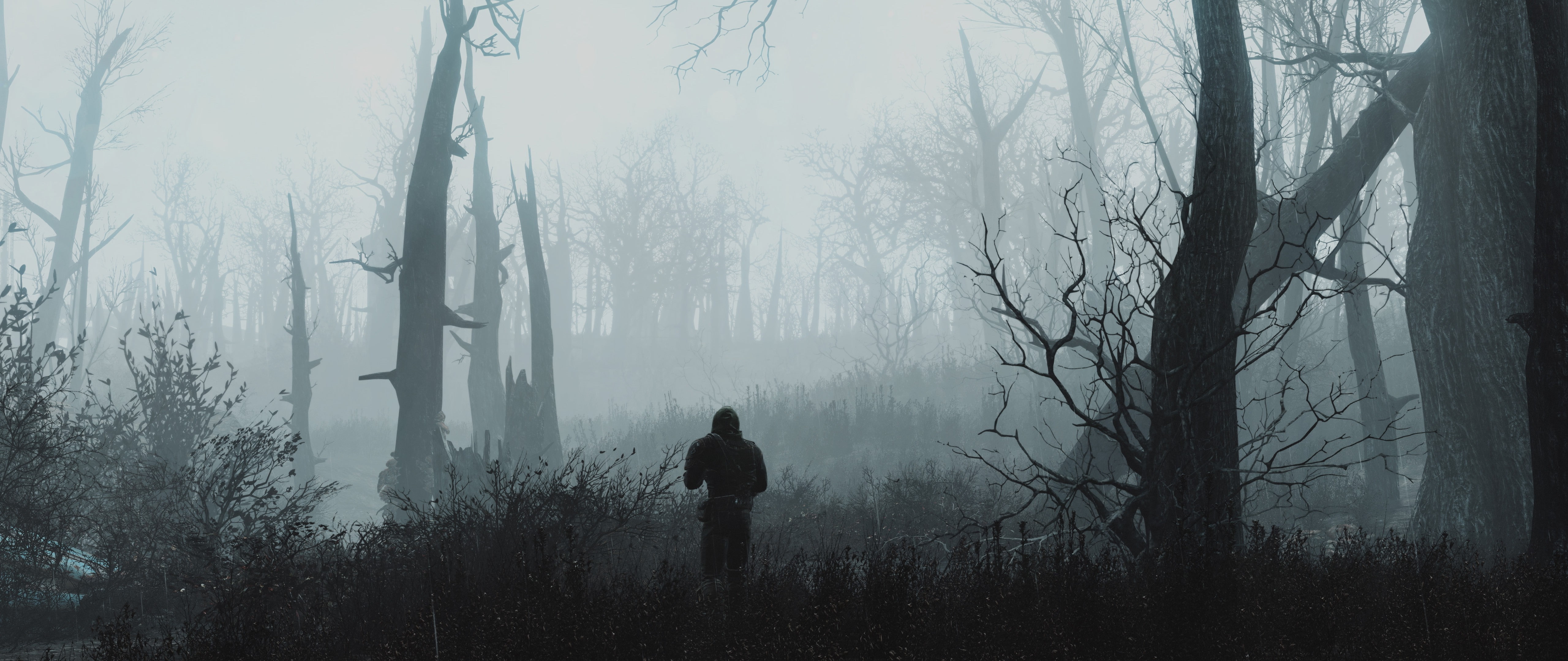 trunk, environment, spooky, one person, plant, nature, tree trunk, non-urban scene, silhouette, tranquility, woodland, standing, tree, dual monitors video games fallout4, HD Wallpaper