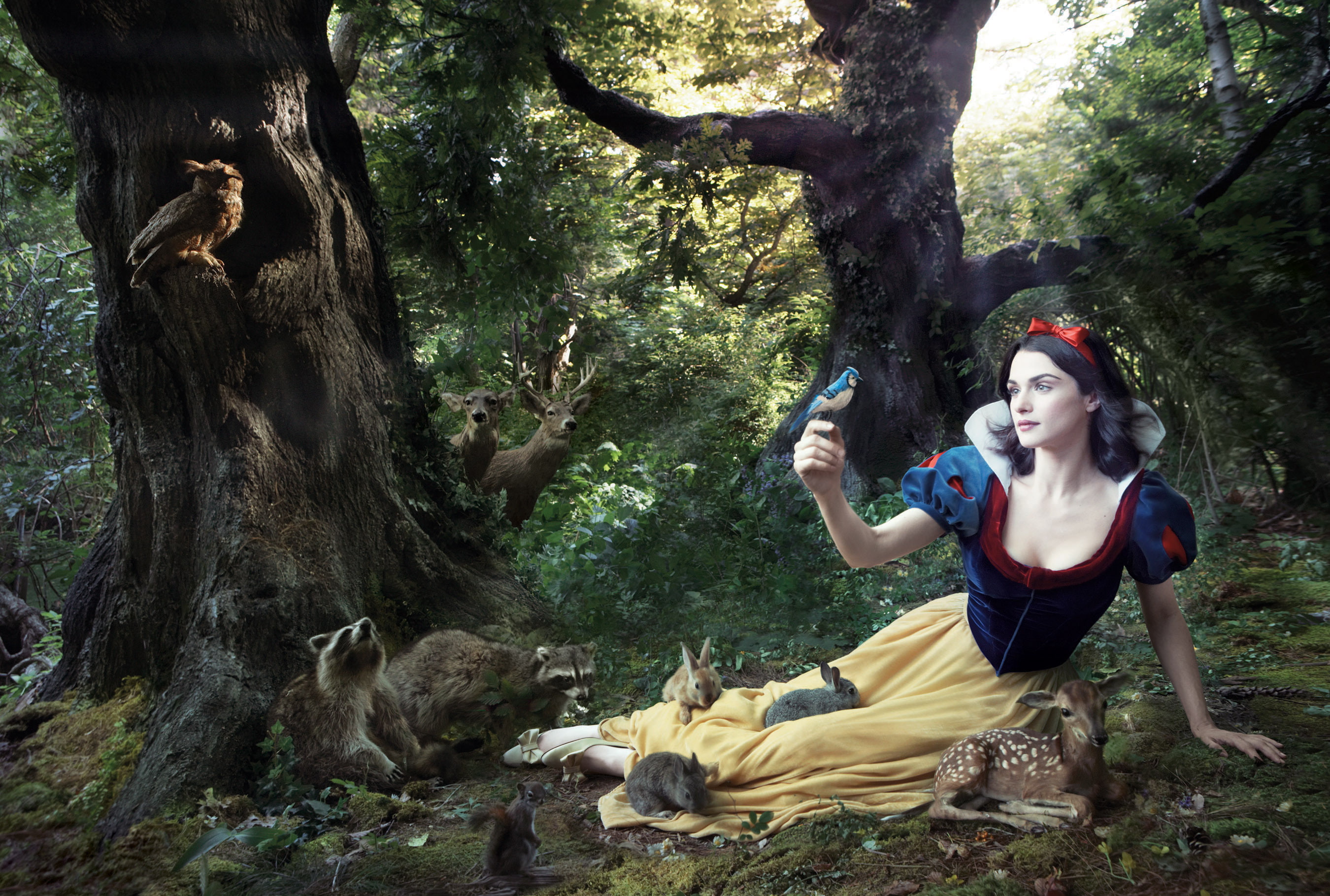 front view, sitting, adventure, disney, summer, adult, females, land, snow, beauty, green Color, caucasian Ethnicity, one Person, beauty In Nature, nature, HD Wallpaper