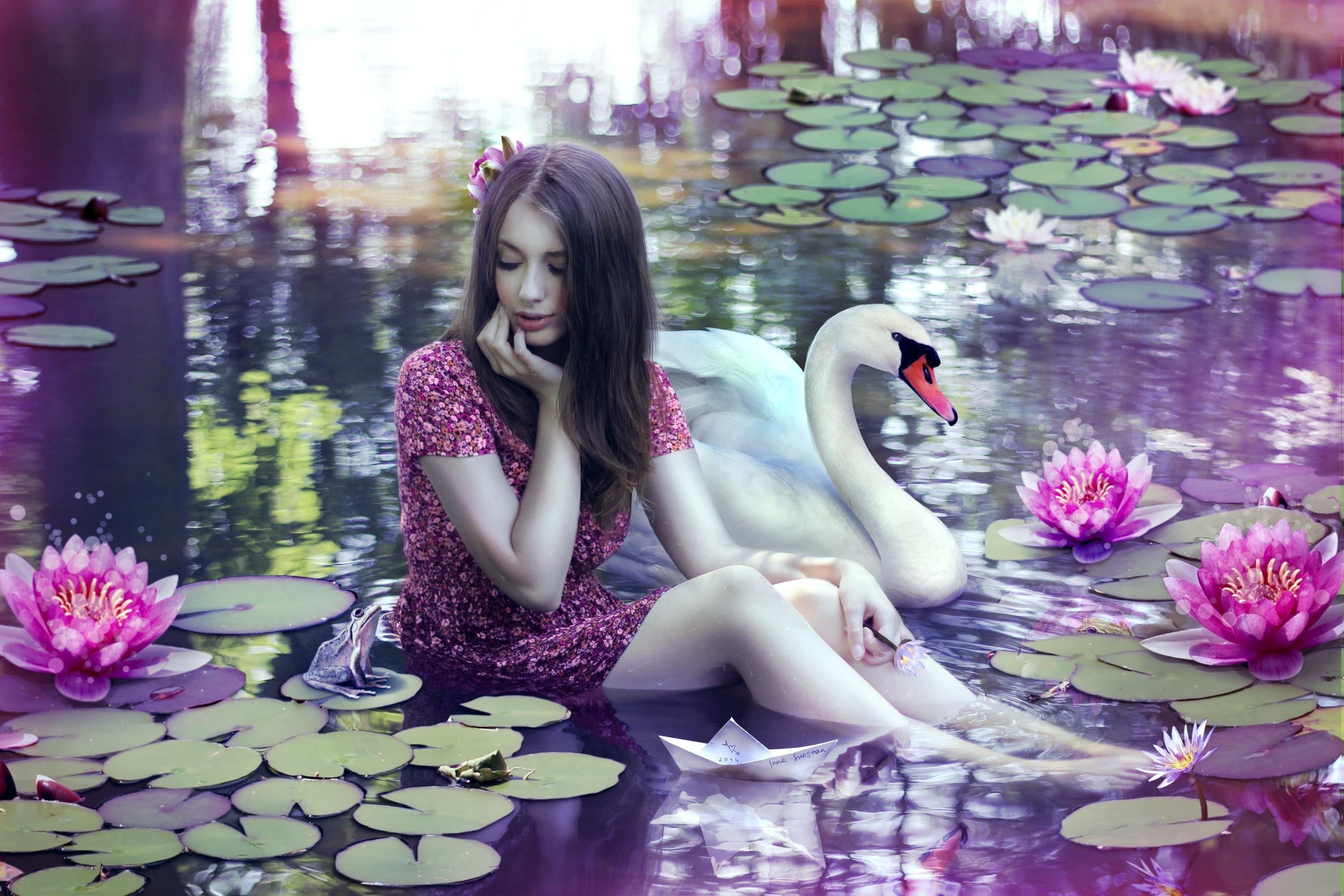mini, adult, paper boat, one person, water Lily, floating on water, water, girl, magic, pink, contemplation, lifestyles, outdoors, 2K, Swan, beauty, beautiful woman, HD Wallpaper