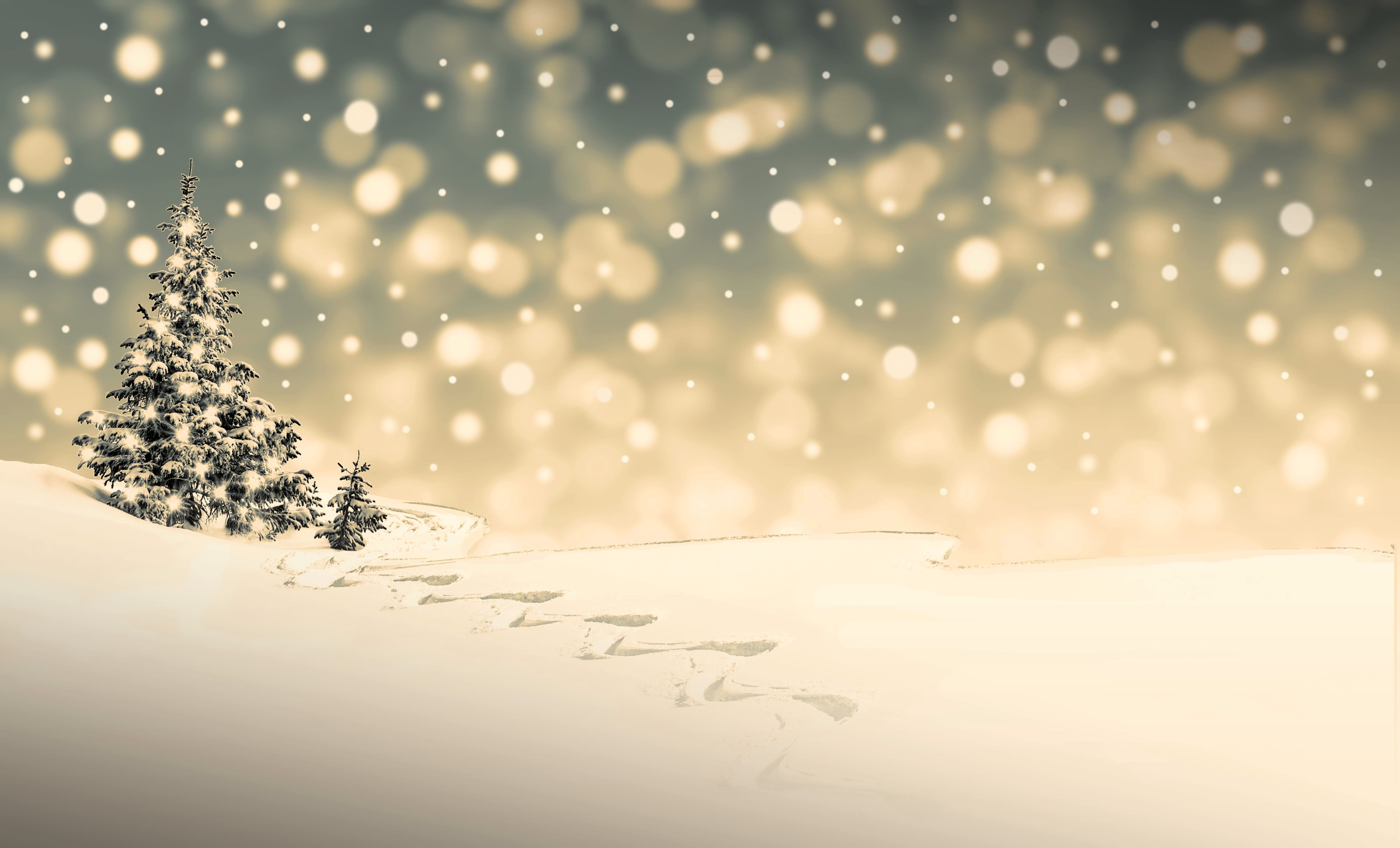 nature, snow, snowflake, postcard, christmas greeting, christmas ornament, event, christmas time, illuminated, plant, greeting card, christmas motif, cold, HD Wallpaper