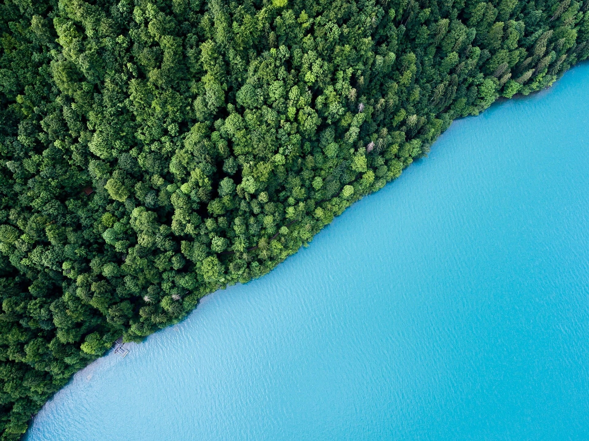 scenics - nature, hedge, no people, tree, desktop, samsung, nature, day, note, blue, abundance, plant, aerial view, growth, galaxy, green color, HD Wallpaper