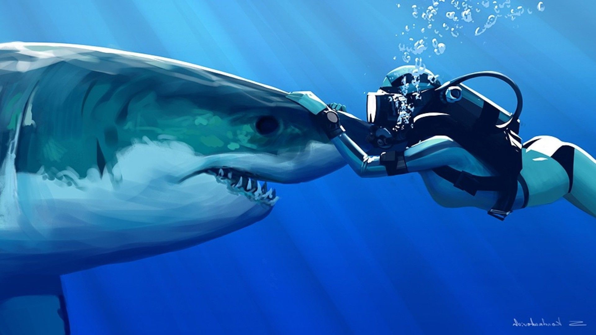 Great White Shark, 1080P, HD Wallpaper