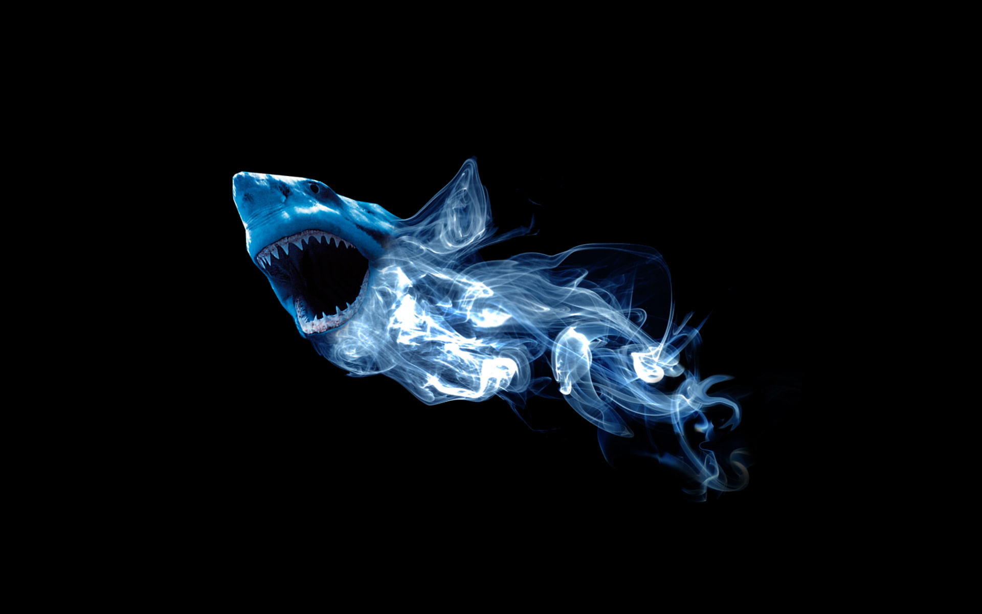 white, shape, black Background, shark, flame, black Color, burning, nature, motion, abstraction, blue, abstract, backgrounds, great, 1080P, HD Wallpaper