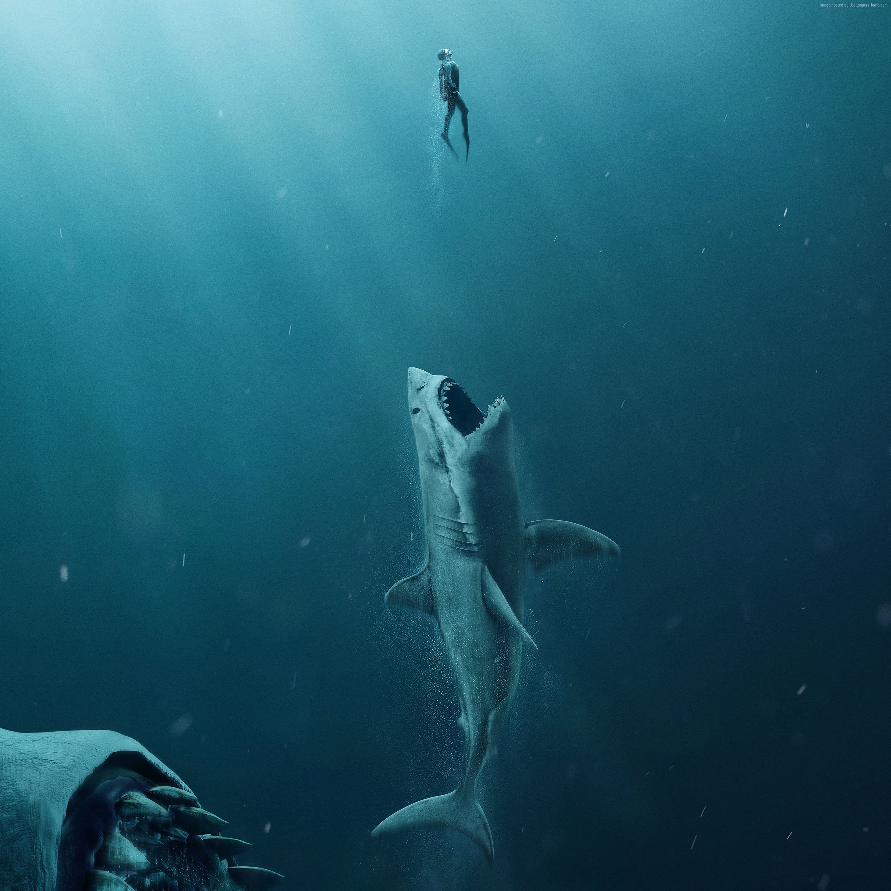 The Meg, shark, 2K, 4k, Phone HD Wallpaper