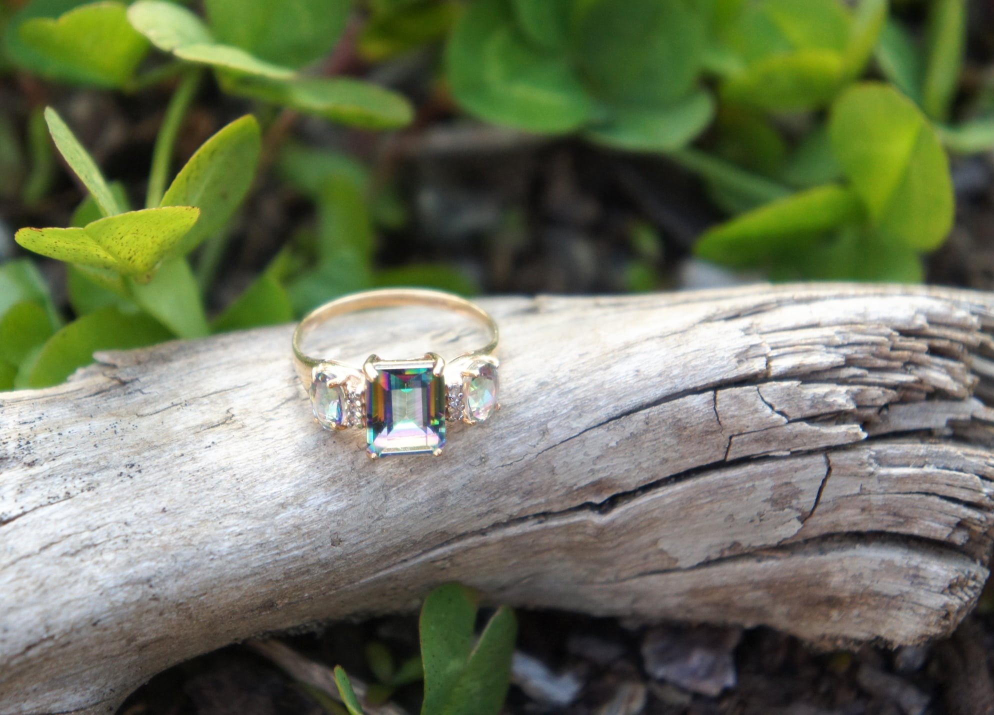 growth, gemstone, golden, gold ring, trunk, wood - material, no people, leaf, gold, expensive, fashion, plant part, animals in the wild, one animal, engagement, HD Wallpaper
