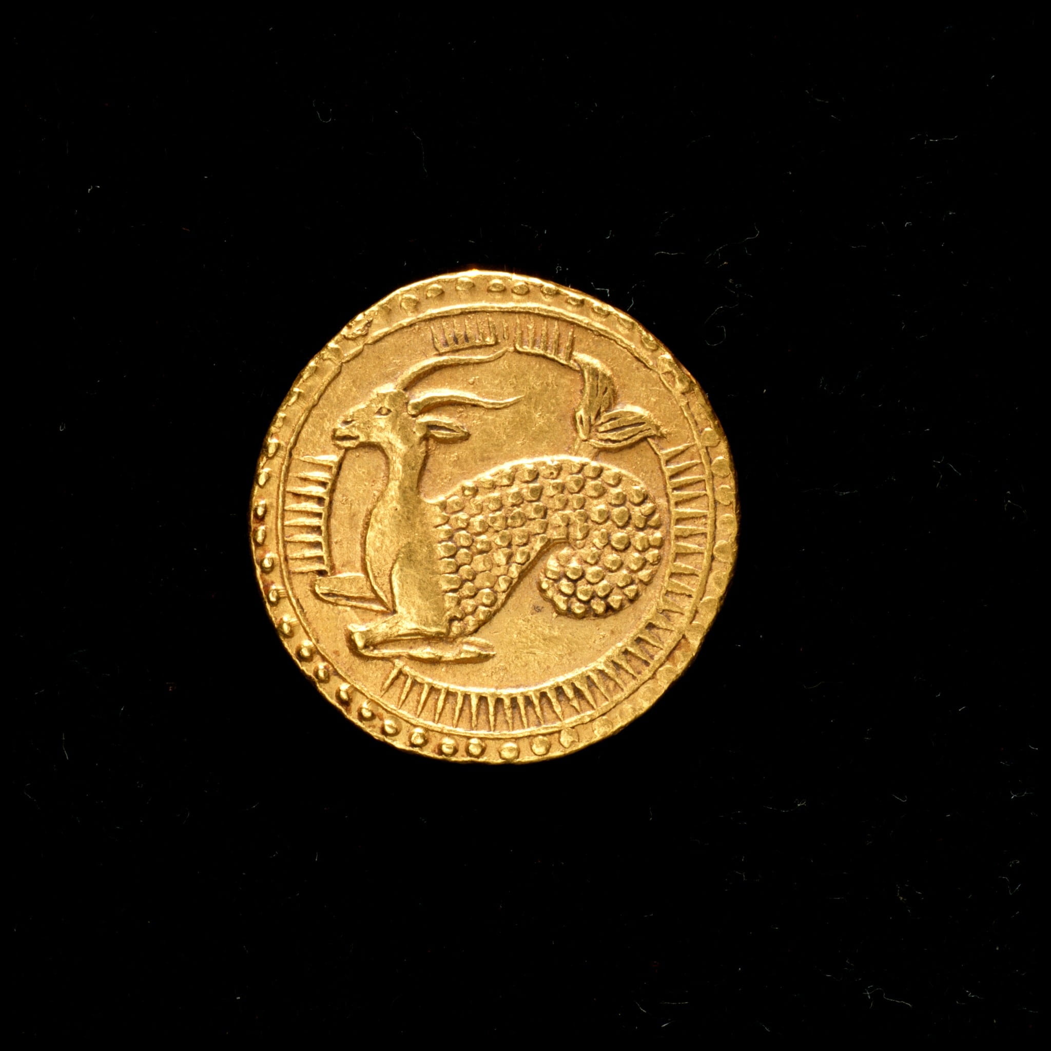 gold, old-fashioned, still life, business, the past, single object, close-up, Coin, shape, black background, Gold, circle, coin, no people, golden, Sign, Phone HD Wallpaper