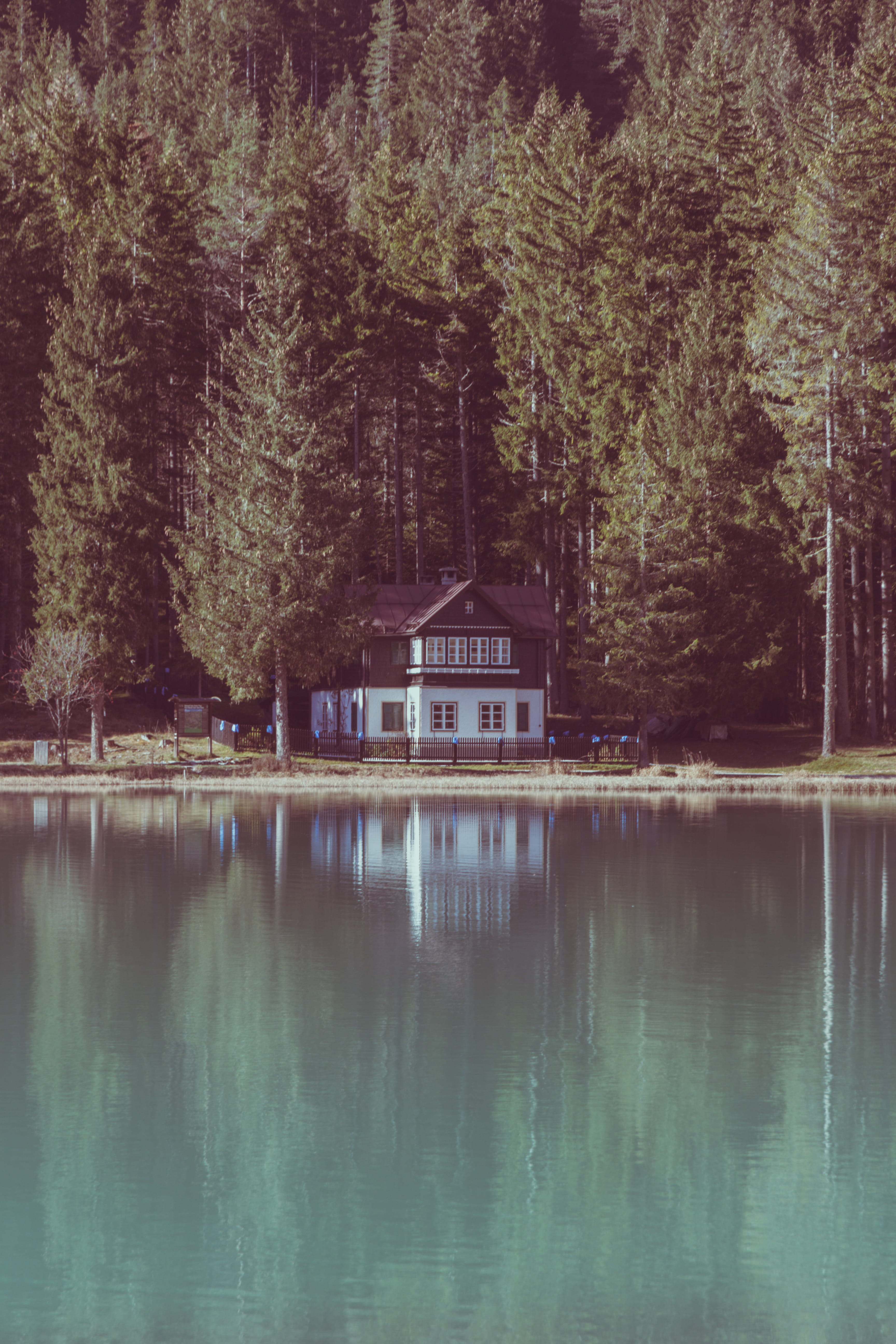 5K, beauty in nature, mountain cabin, rural, housing, beside, tranquility, italy, architecture, no people, reflection, green, dobbiaco, scenics - nature, Phone HD Wallpaper