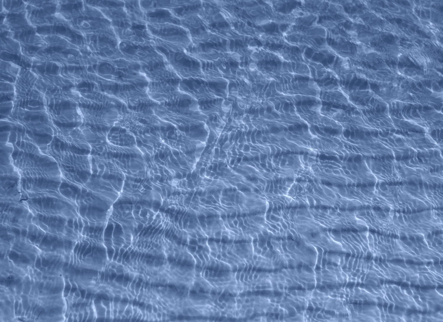closeup, underwater, no people, abstract backgrounds, nature, vertebrate, background, full frame, marine, texture, backgrounds, motion, pure, wate, summer, HD Wallpaper