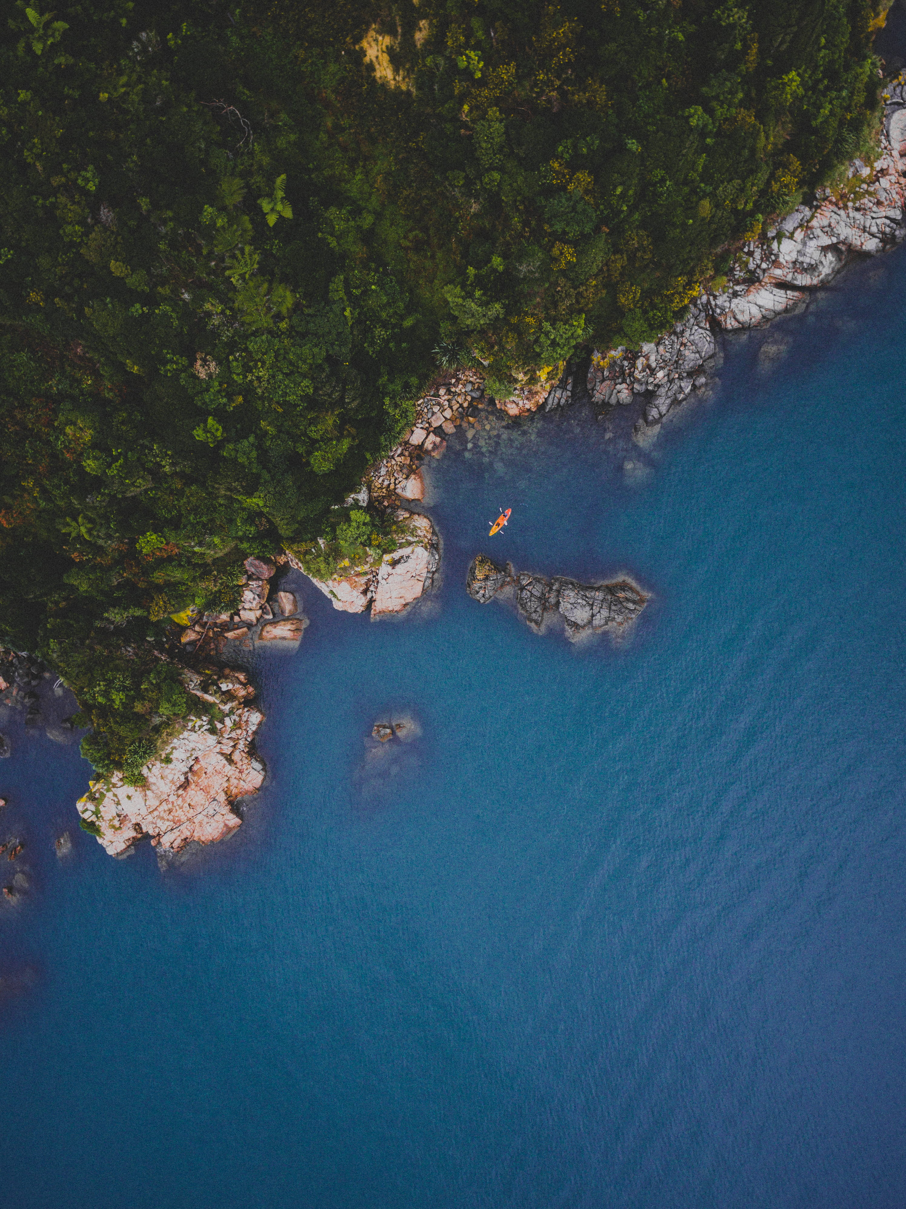 outdoors, idyllic, body, turquoise colored, plant, river, tranquil scene, tranquility, wate, tree, no people, photo, summer, land, water, swimming, growth, Phone HD Wallpaper