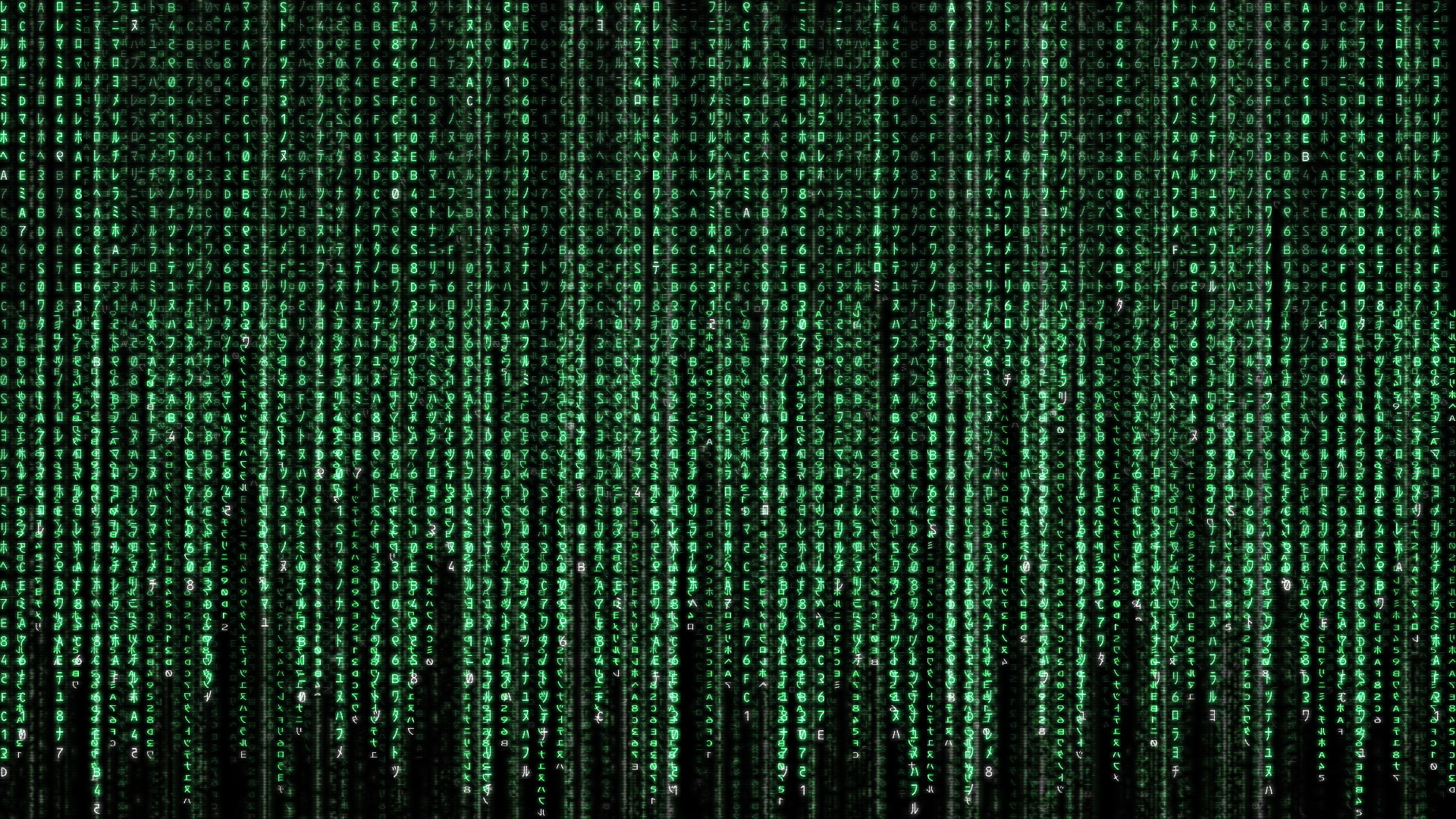 text, hot, hd, art, 1080P, girls, people, Computers, x, HD Wallpaper