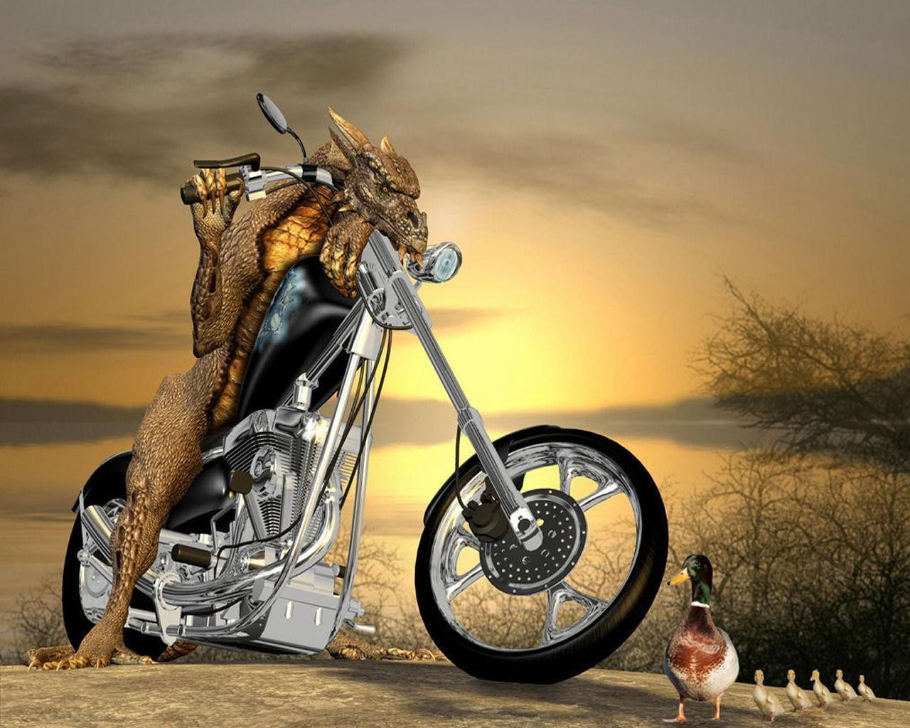 x, art, ducks, hd, motorbikes, 720P, animals, gargoyle, HD Wallpaper
