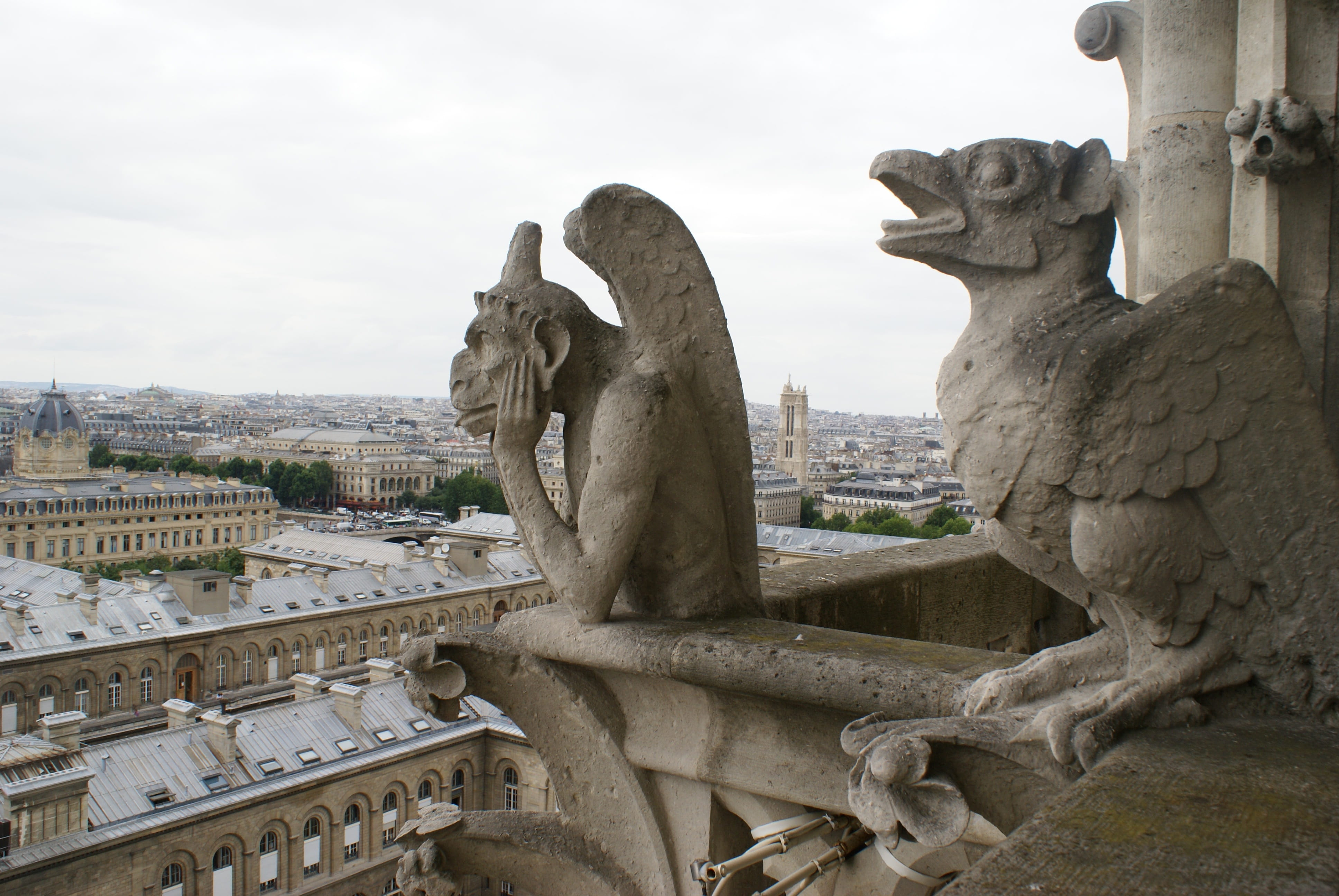 statue, Paris, no people, tourism, paris, building exterior, historic, capital architecture, city, gargoyle, animal representation, France, creativity, HD Wallpaper