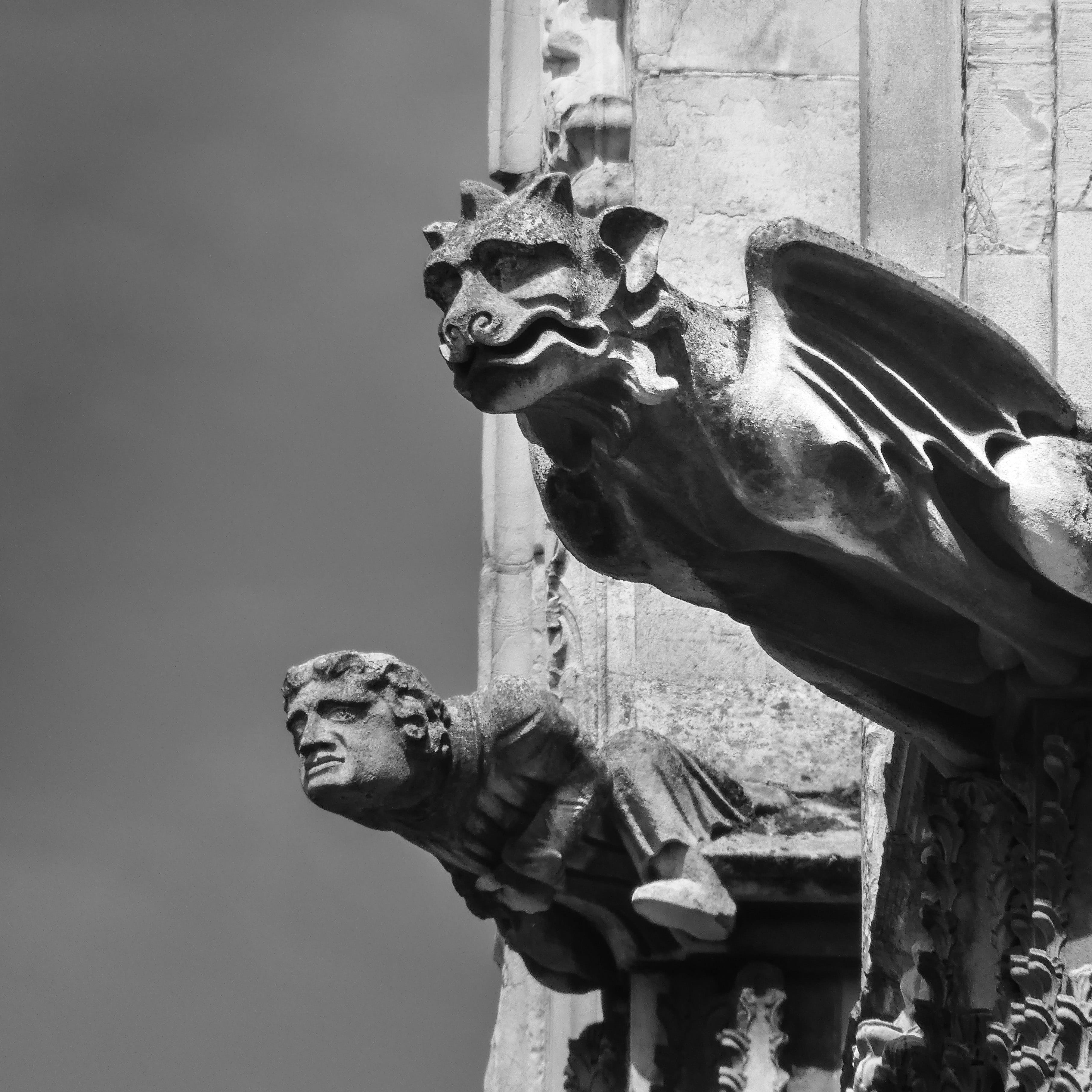 no people, art and craft, the past, concrete, low angle view, male likeness, animal themes, day, craft, creativity, Gothic, Gargoyle, demon, Sculpture, Phone HD Wallpaper