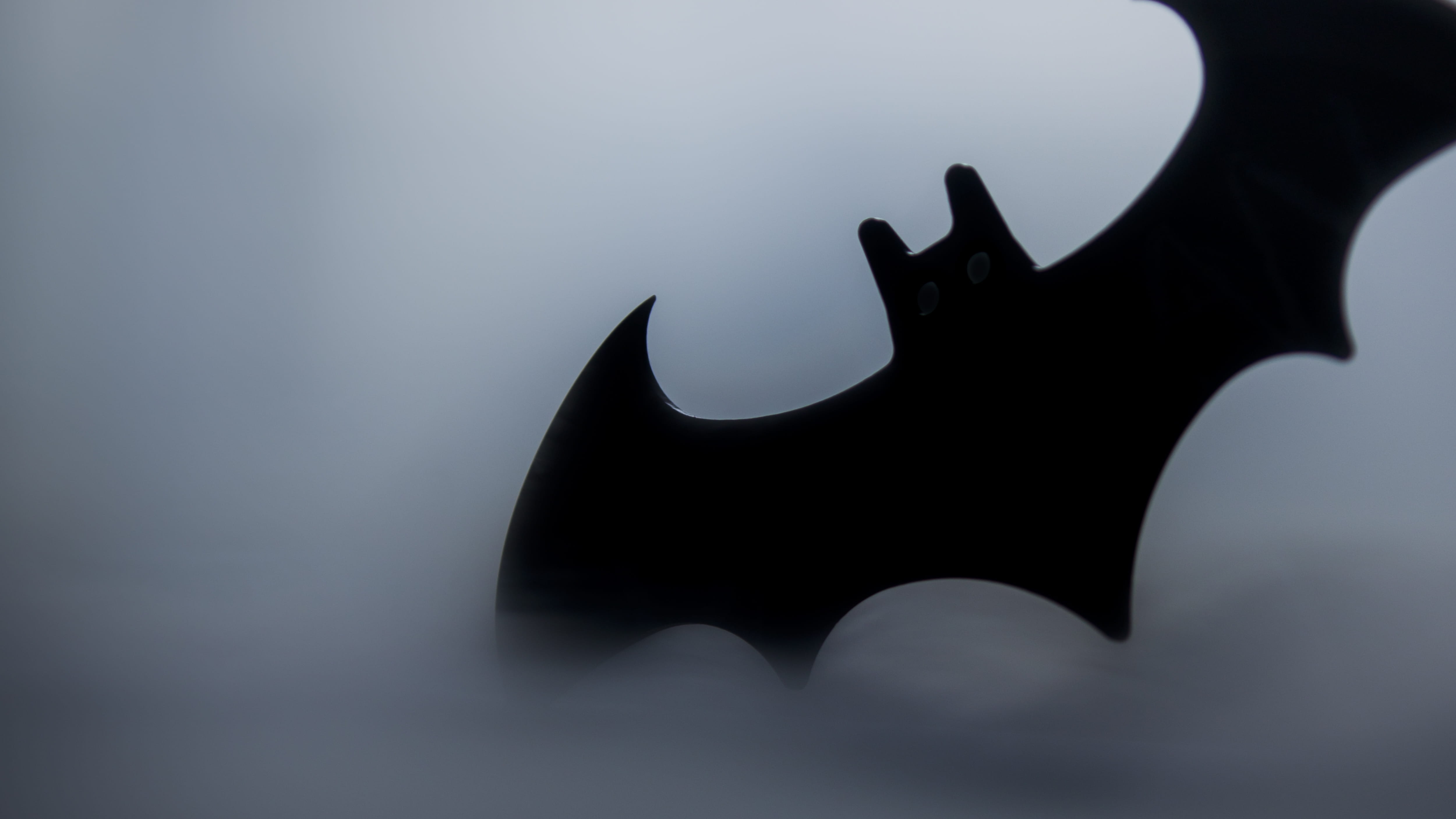 4K, animal wildlife, sign, batman, warning sign, the batman, musical instrument, studio shot, vertebrate, united states, nature, one animal, no people, HD Wallpaper