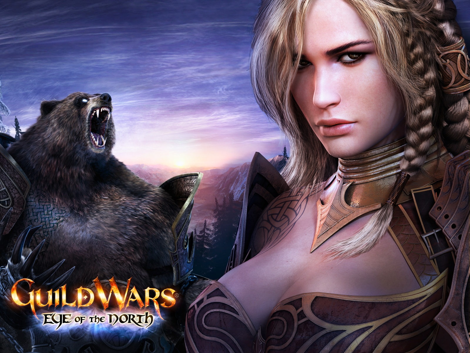 north, guild, 720P, wars, eye, HD Wallpaper