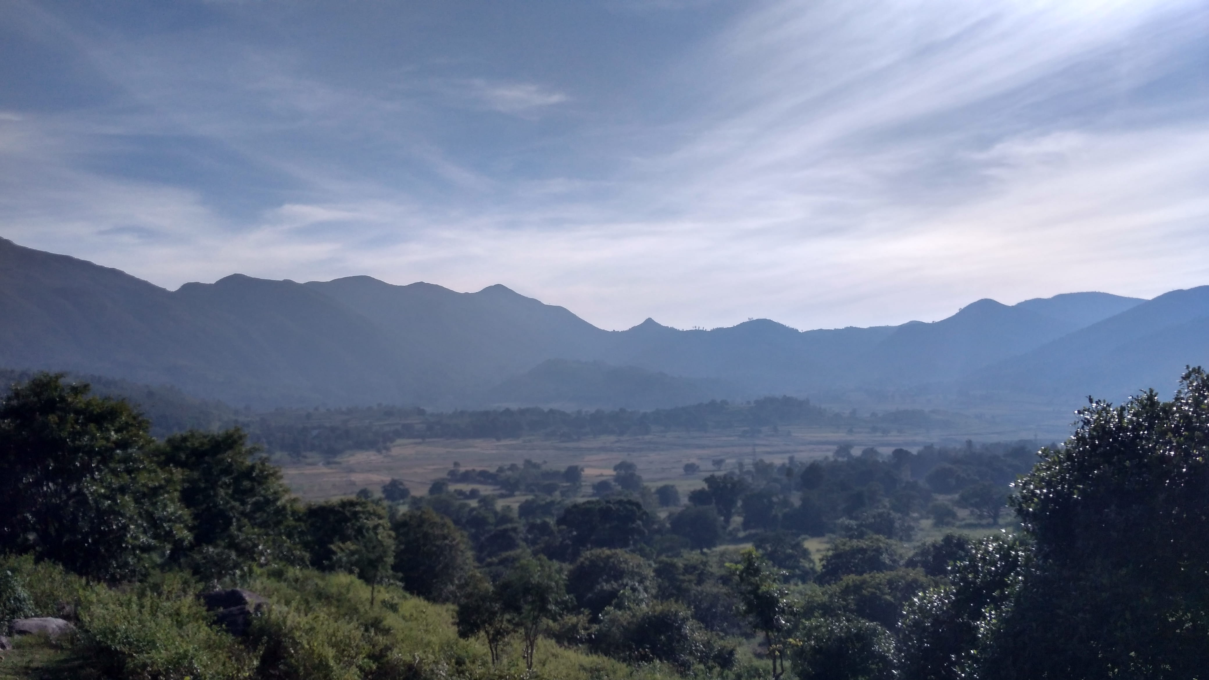 growth, vishakhapatnam, tree, mountain range, outdoors, scenics - nature, land, fog, landscape, araku - visakhapatnam rd, non-urban scene, no people, remote, HD Wallpaper