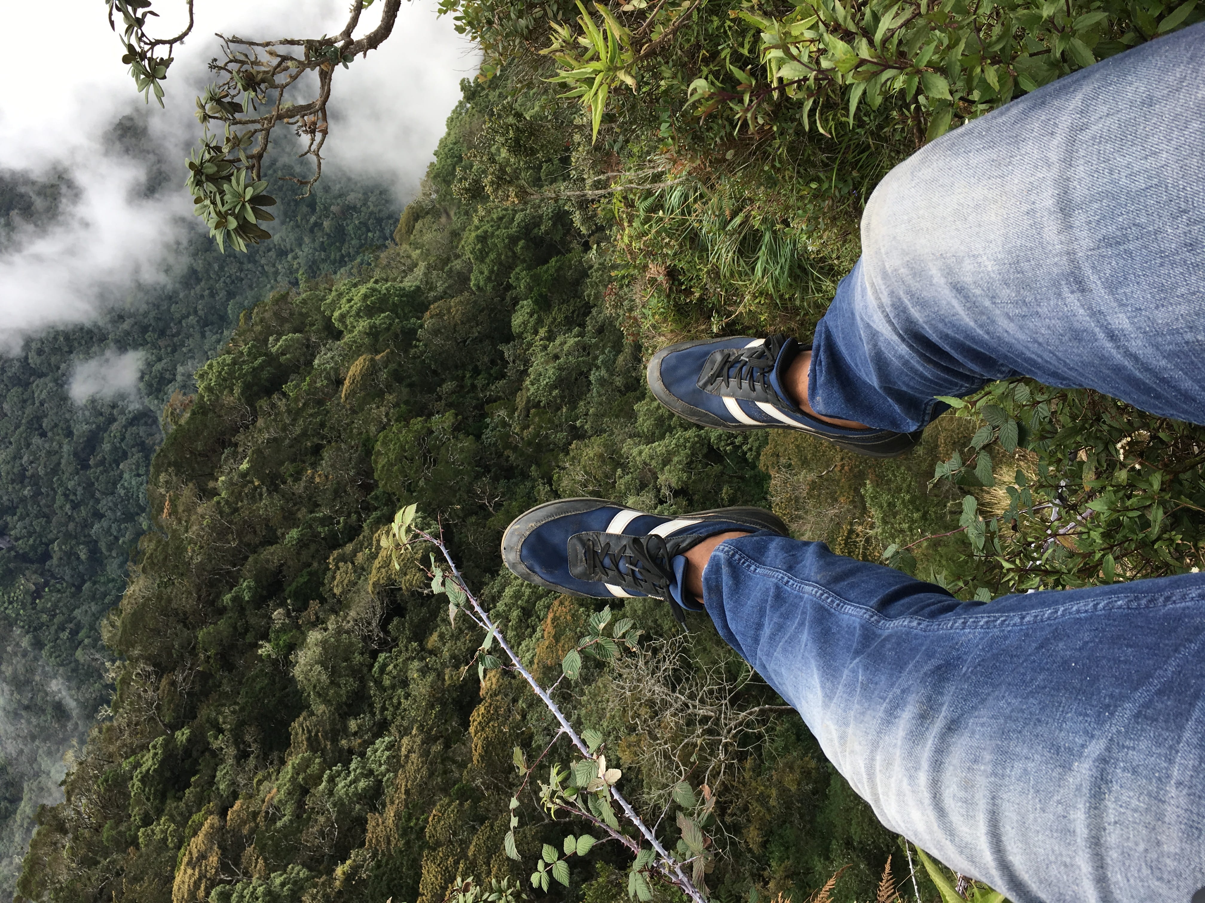 land, nuwara eliya, real people, low section, men, 4K, human body part, plant, leisure activity, worlds end rd, day, one person, outdoors, tree, high angle view, HD Wallpaper