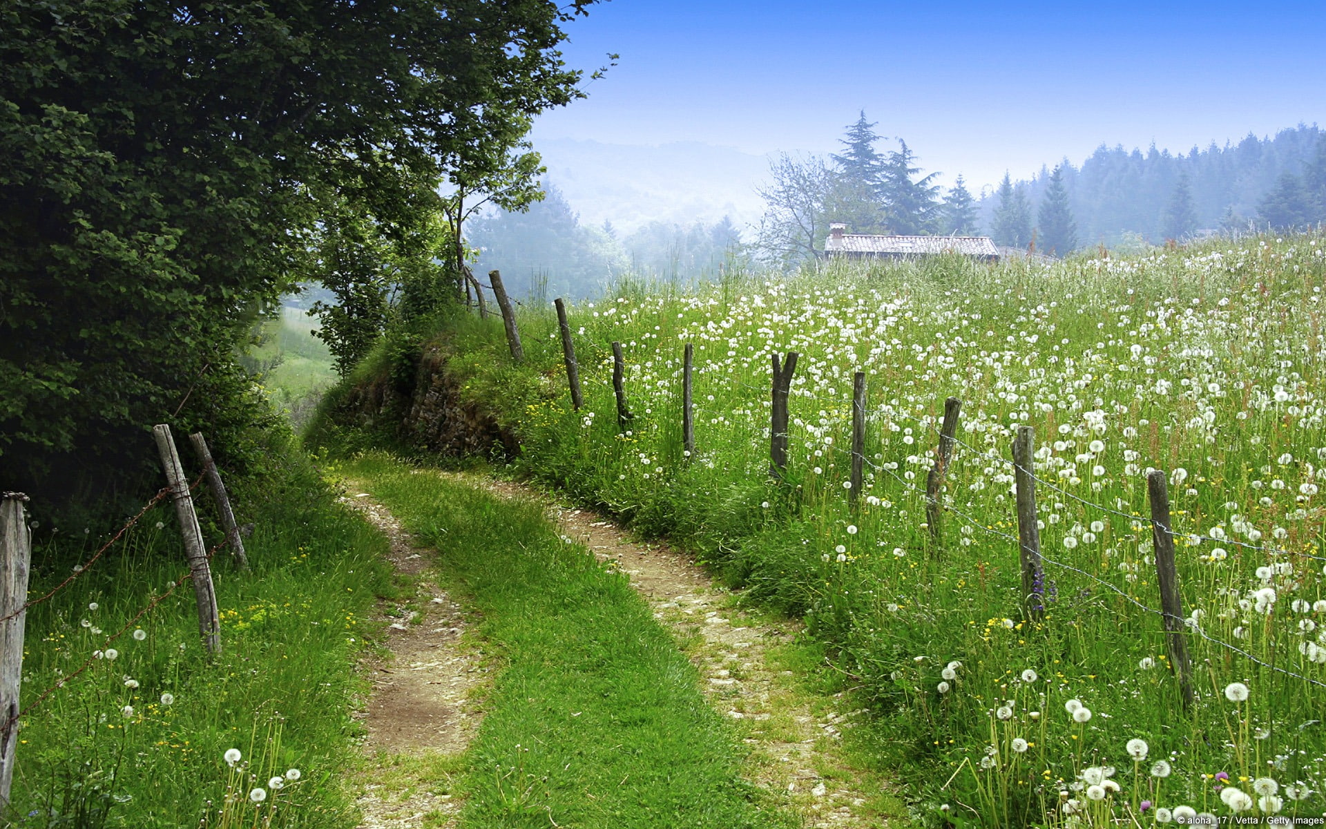 land, sky, tranquility, 1080P, tranquil scene, field, bed, no people, windows, meadow, growth, petaled, flowers, landscape, road, white, plant, nature, HD Wallpaper