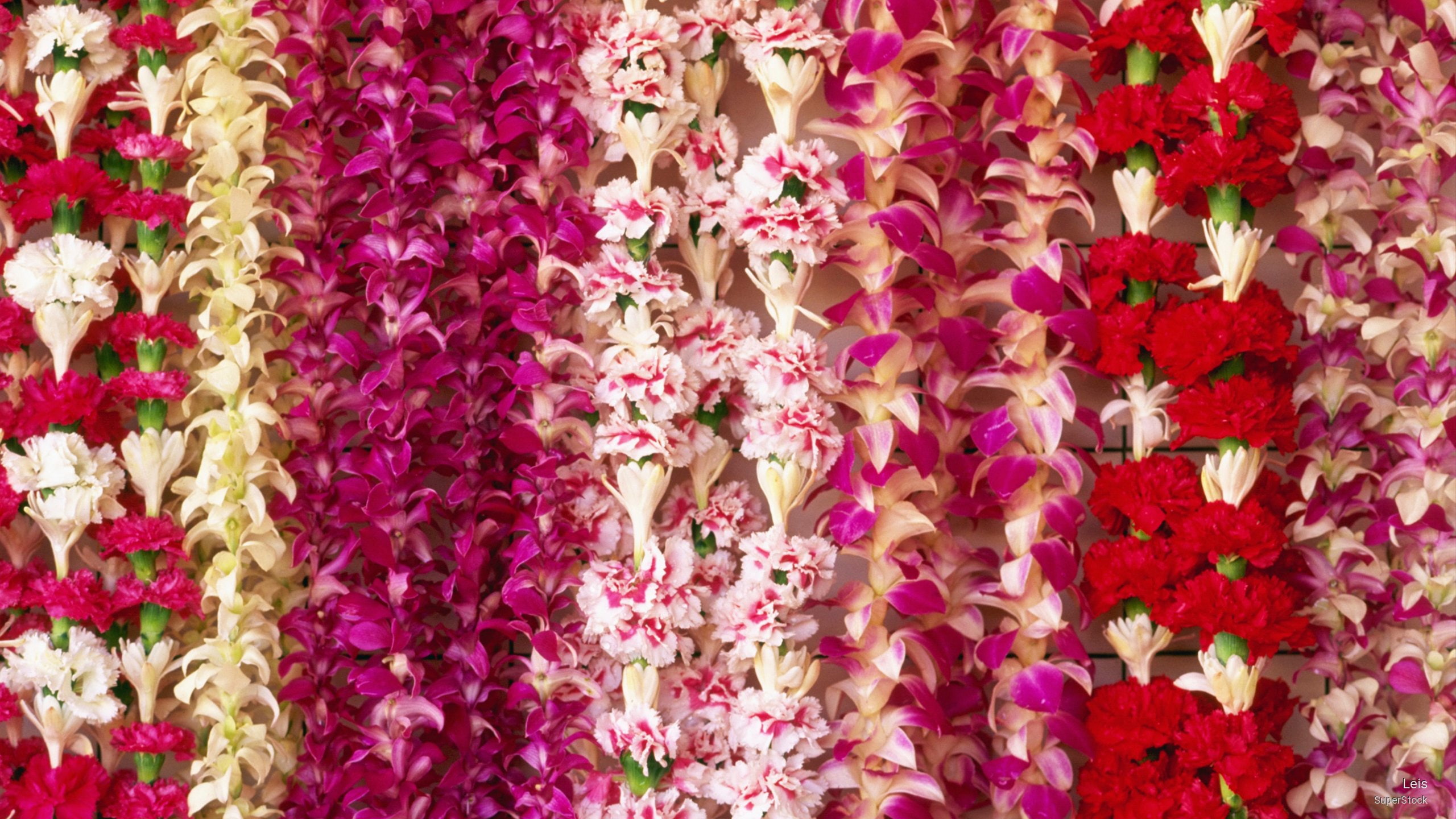 leis, Flowers/Gardens, 2K, HD Wallpaper