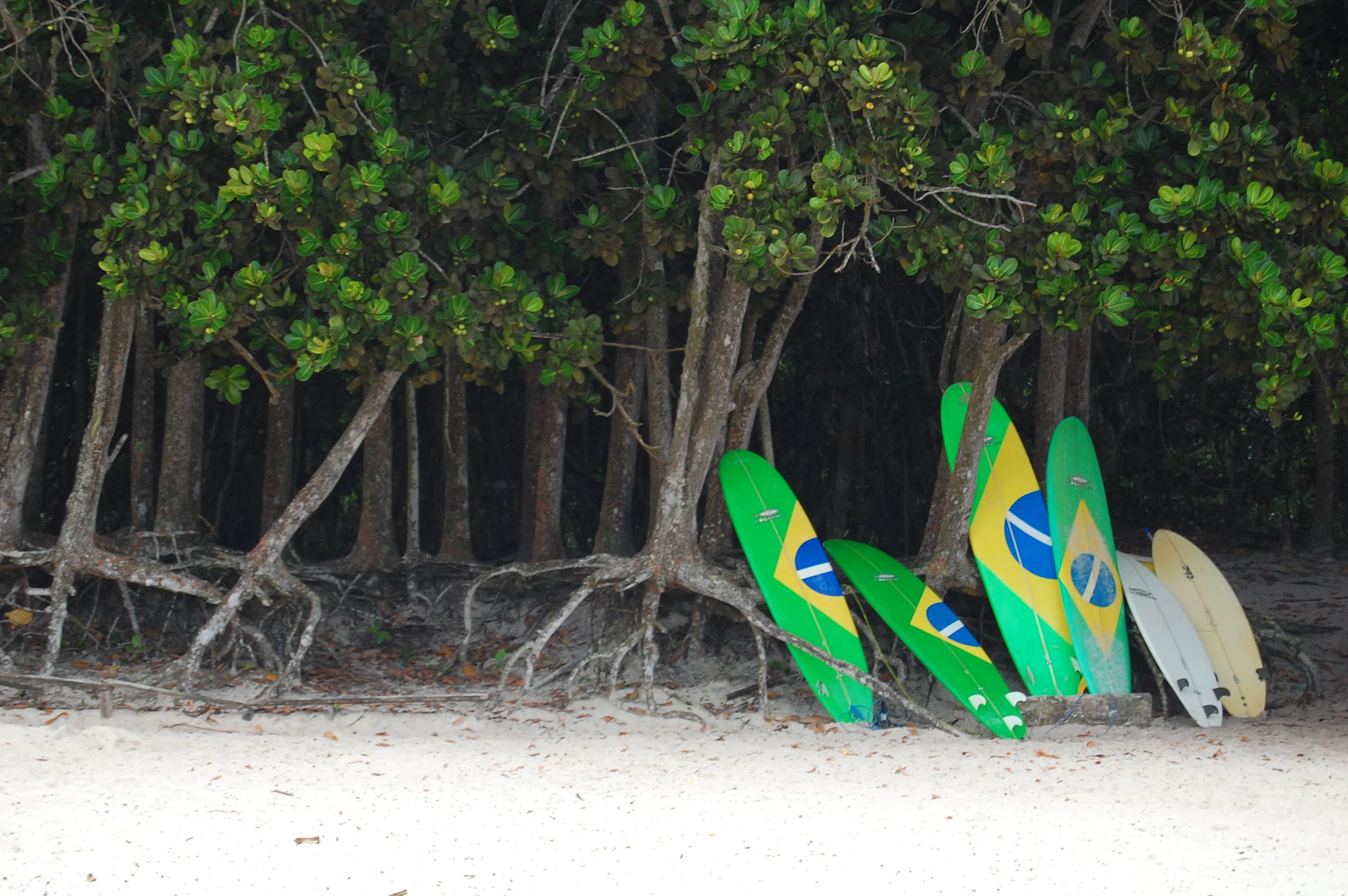 beach, absence, no people, multi colored, animal representation, Beach, park, surf, day, land, green color, Surf, growth, shoe, Ilha Grande, forest, animal themes, HD Wallpaper