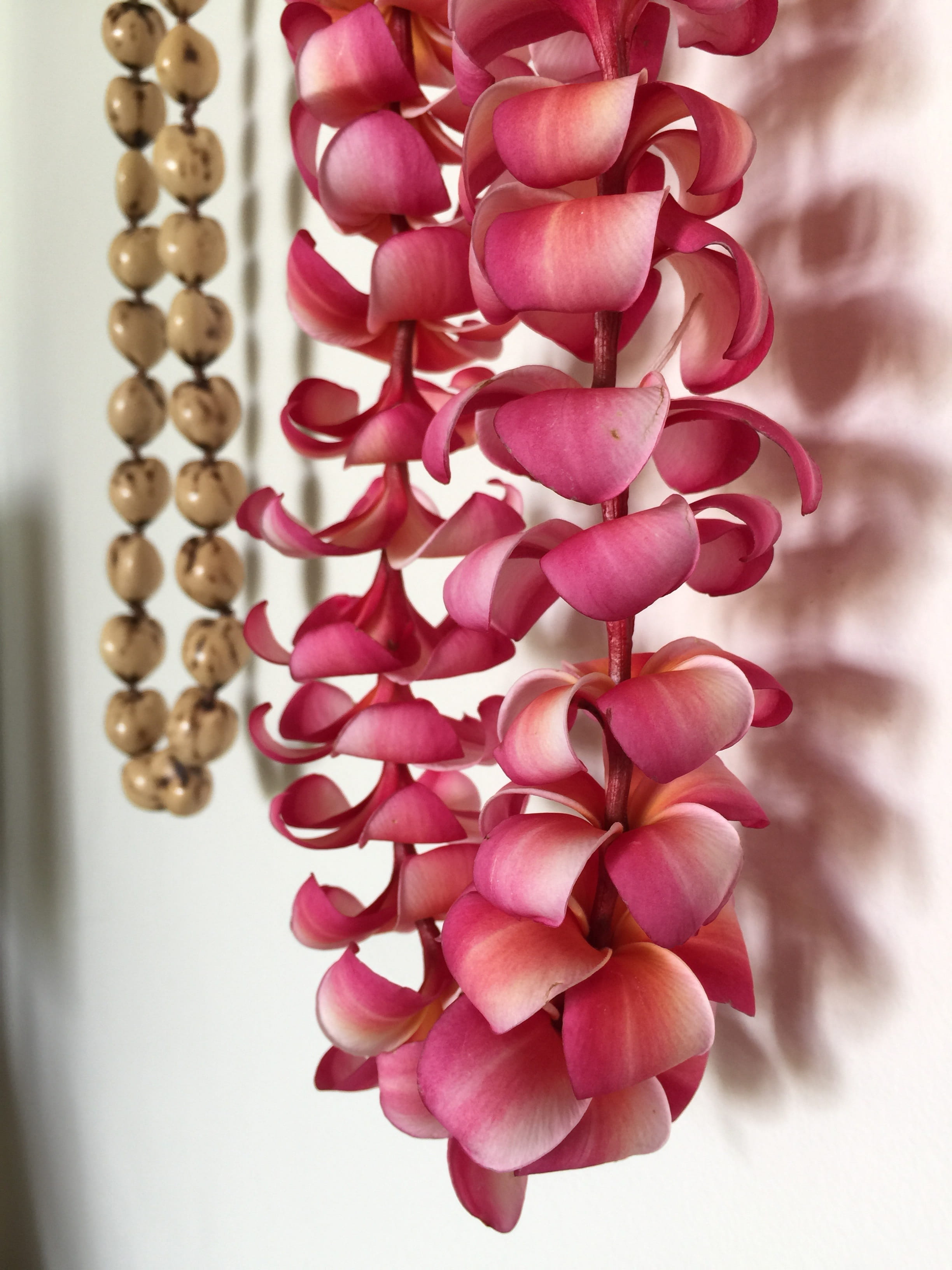 day, no people, tropical, plant, 2K, aloha, flora, flower head, vulnerability, lei, pink color, indoors, fragrant, floral, freshness, plumeria, inflorescence, Phone HD Wallpaper