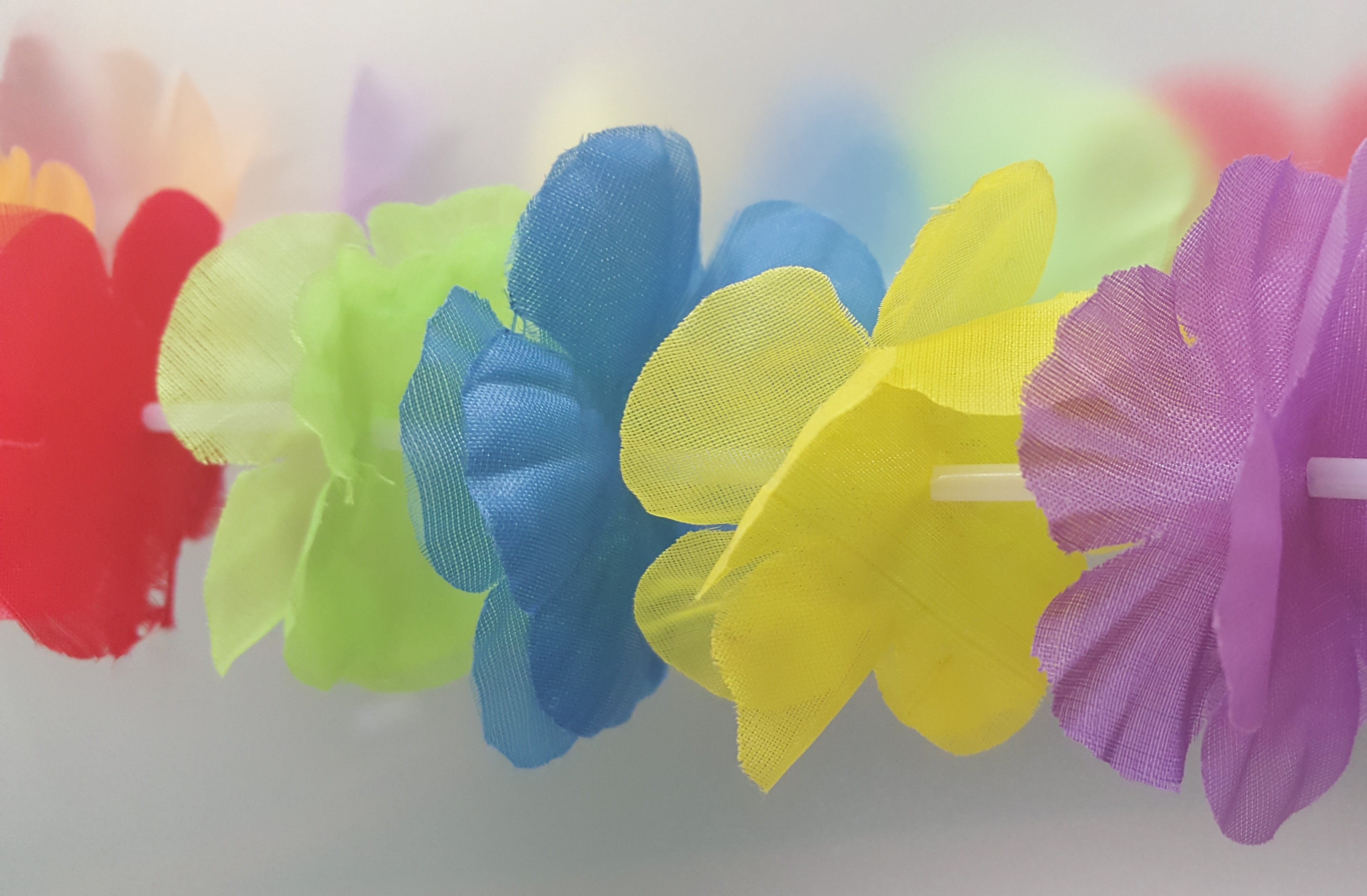 washing up glove, flower chain, no people, indoors, alice, 4K, texture, flower, cleaning, protective glove, pink color, washing, photo, lei flowers, colorful, HD Wallpaper