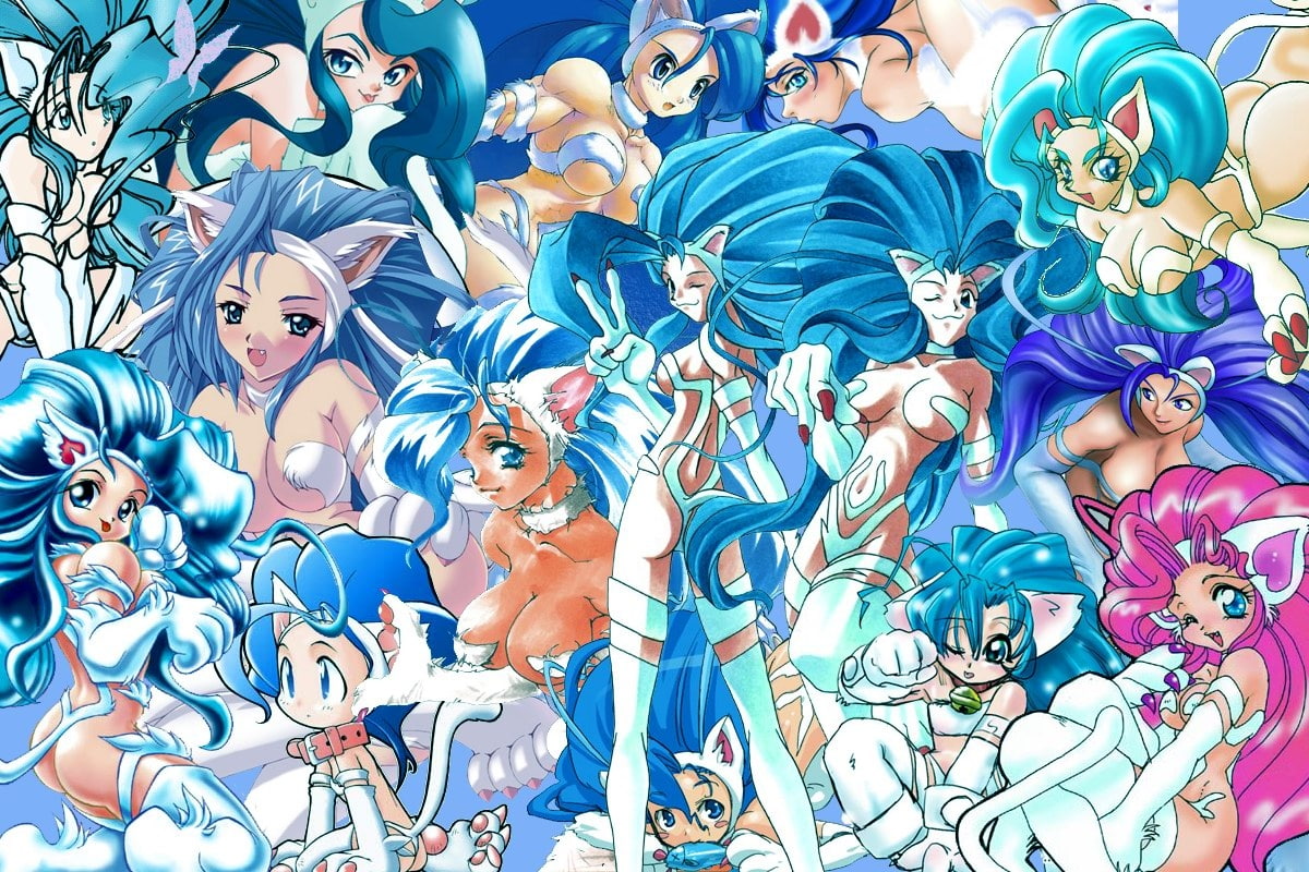 tea, hot, x, Felicia, Darkstalkers, artist, hd, anime, art, 480P, HD Wallpaper