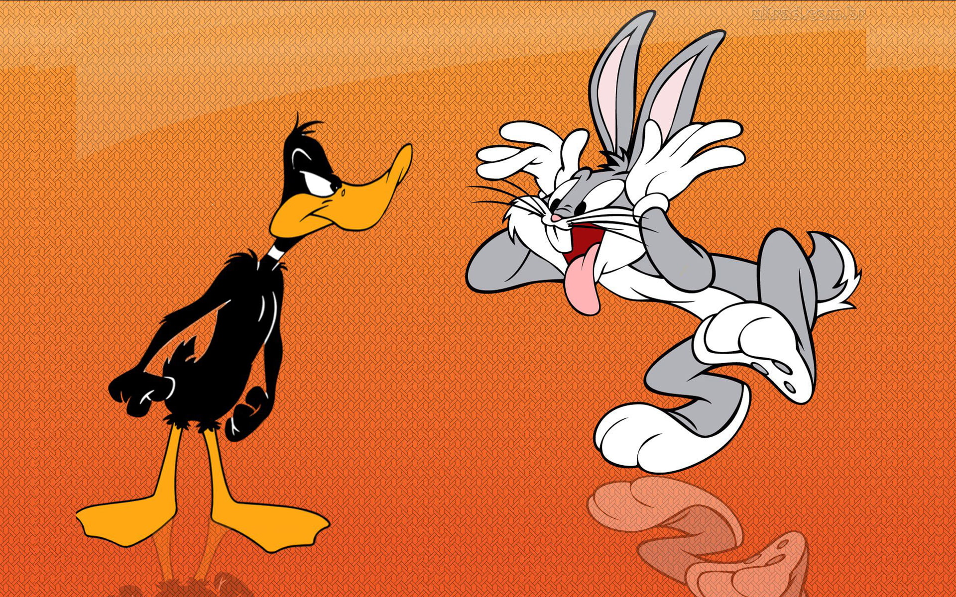 funny, duck, 1080P, daffy, cartoon, hd, bunny, bugs, HD Wallpaper