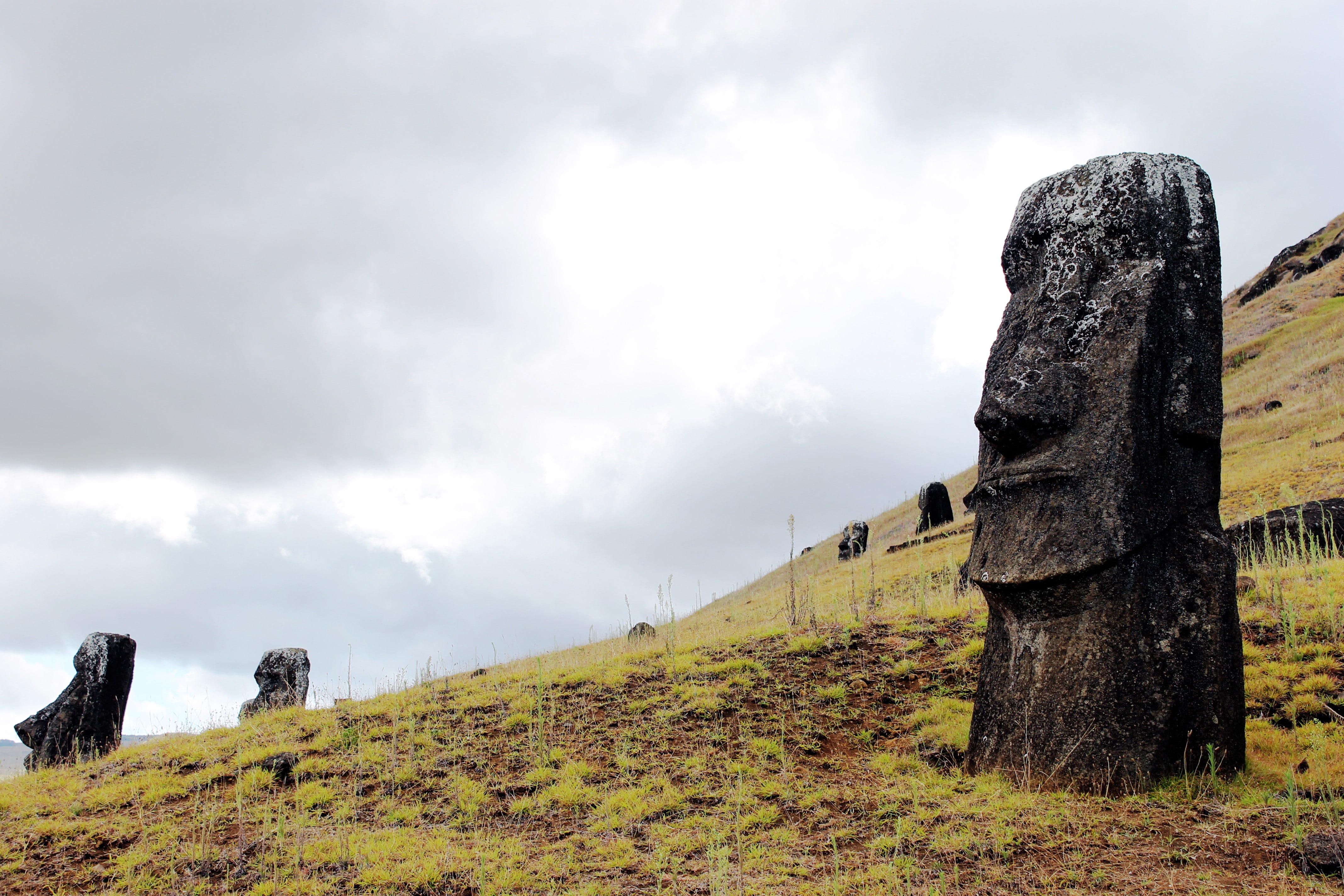 solid, 4K, low angle view, ancient civilization, non-urban scene, field, outdoors, landscape, nature, cloud - sky, day, Moai, rano raraku, history, plant, HD Wallpaper