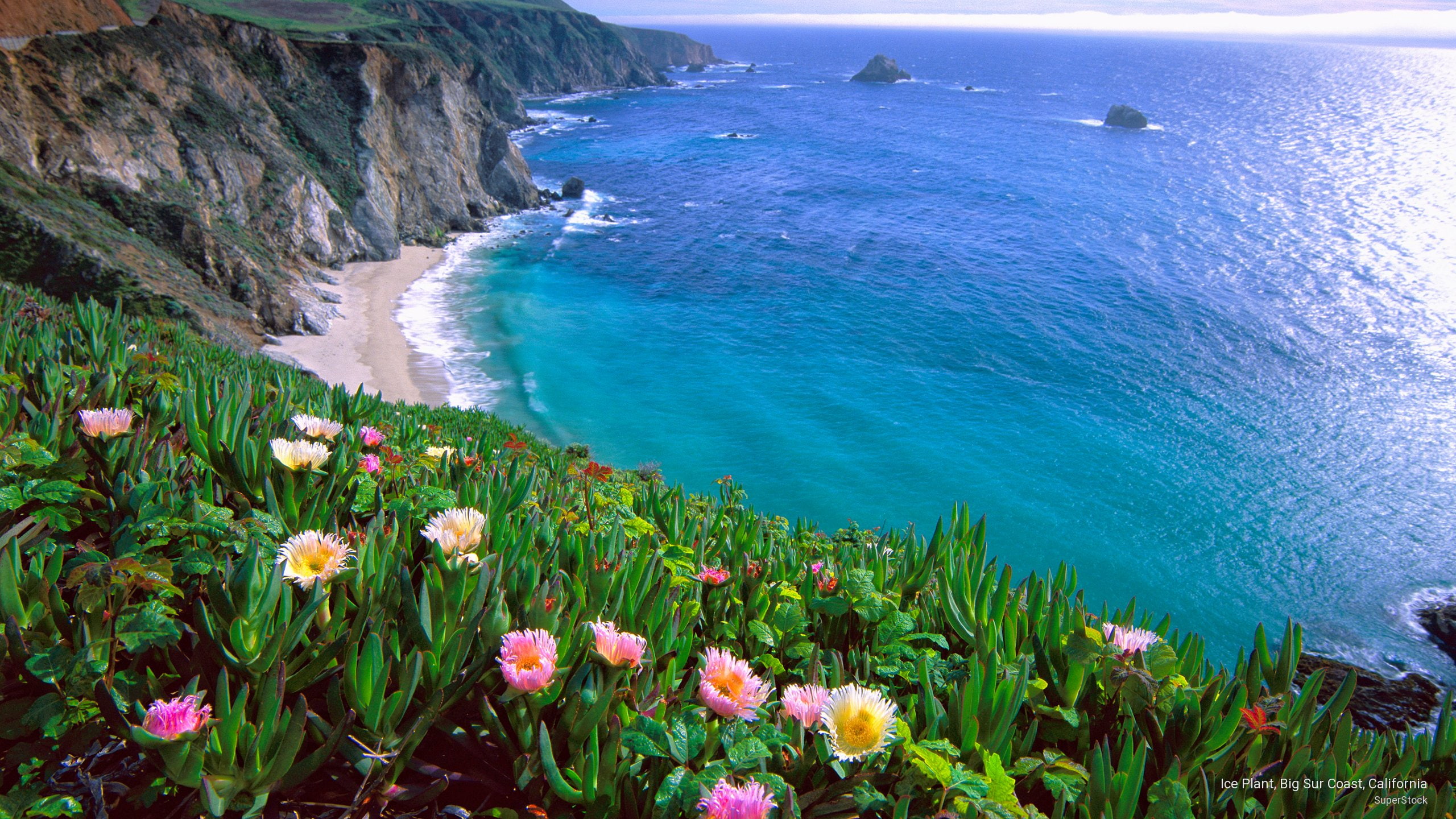 coast, california, Nature, sur, plant, ice, 2K, big, HD Wallpaper