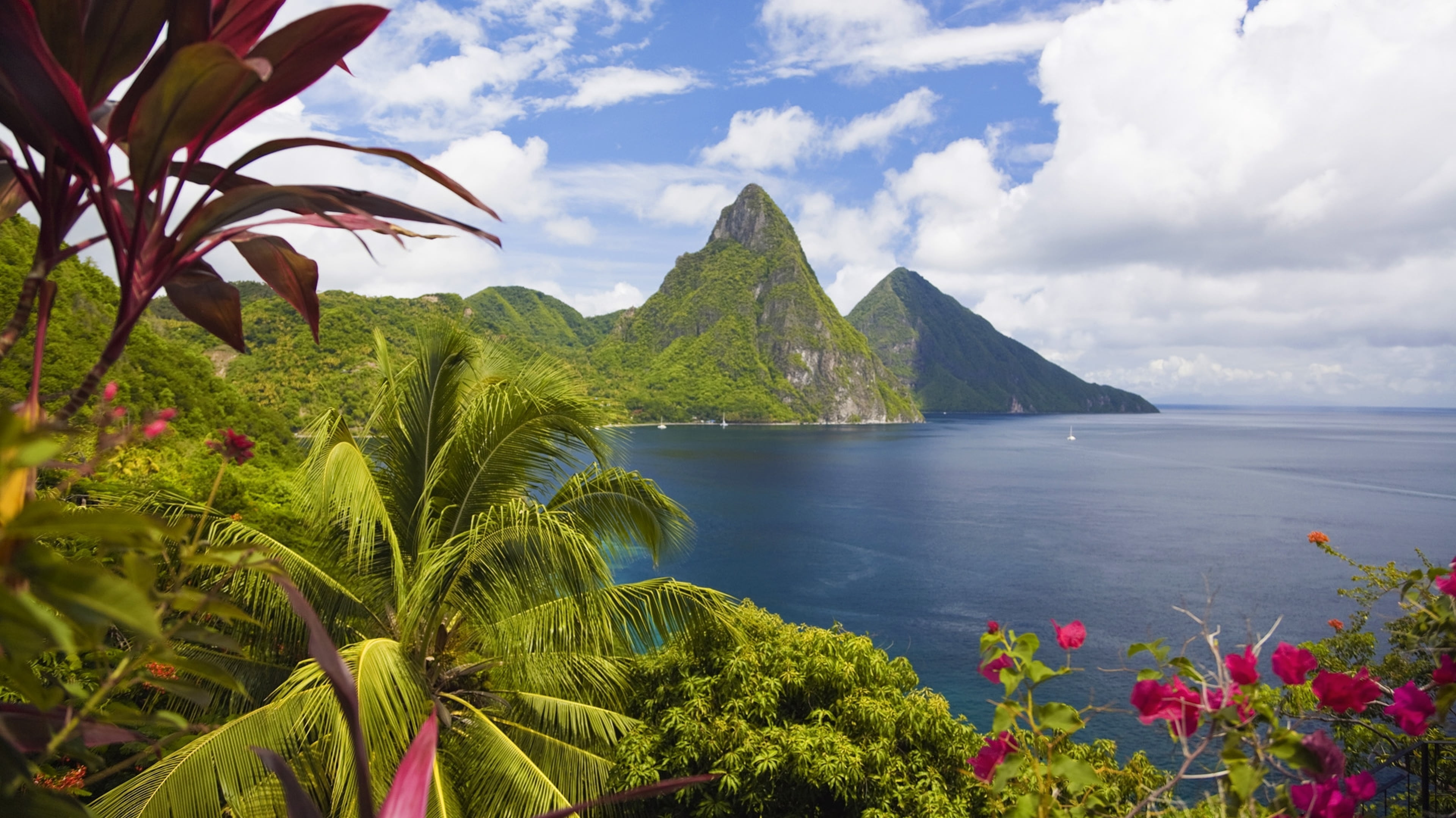 no people, 4K, flowering plant, mountain, sea, gros, bay, cloud - sky, lucia, non-urban scene, caribbean, nature, growth, mountain range, water, tree, HD Wallpaper