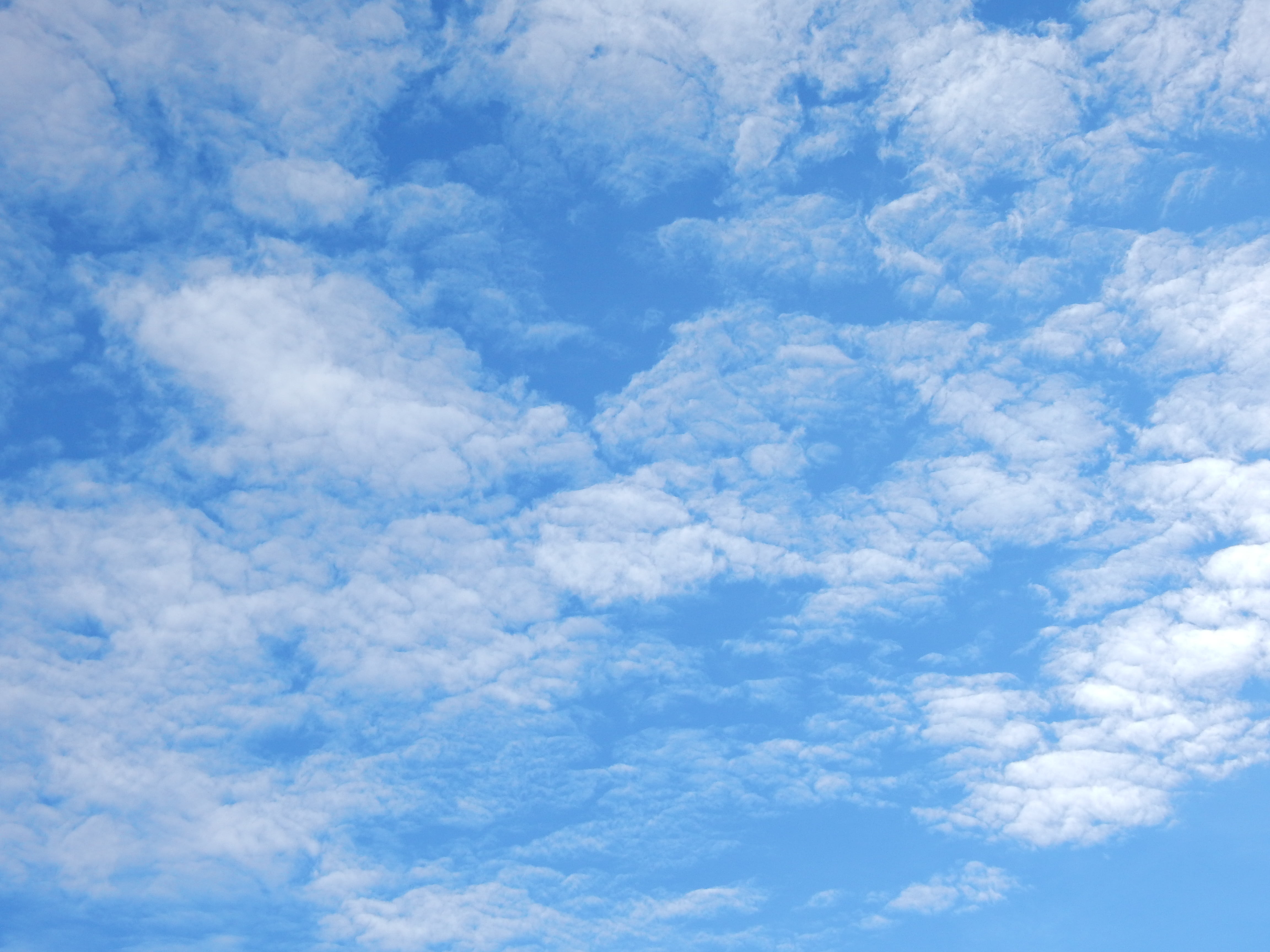 beauty in nature, weather, cloud - sky, cloudscape, altitude, cloud, climate, environment, softness, flight, tranquility, natural, meteorology, scenics - nature, HD Wallpaper