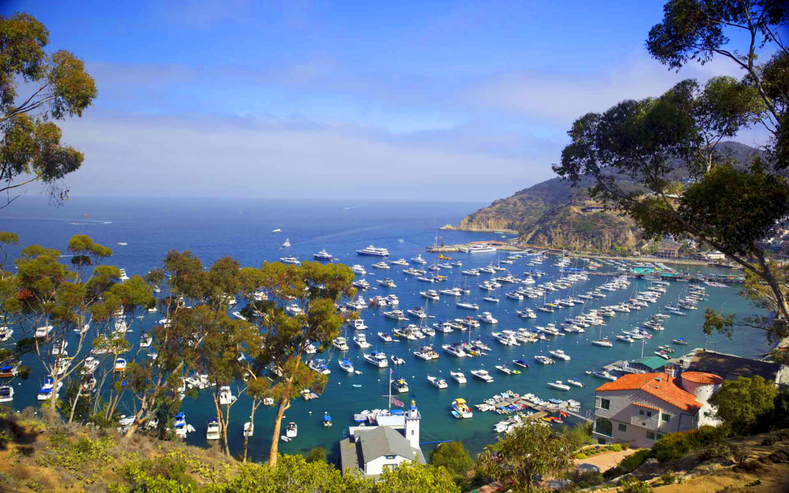 california, island, catalina, resting, 2K, santa, HD Wallpaper