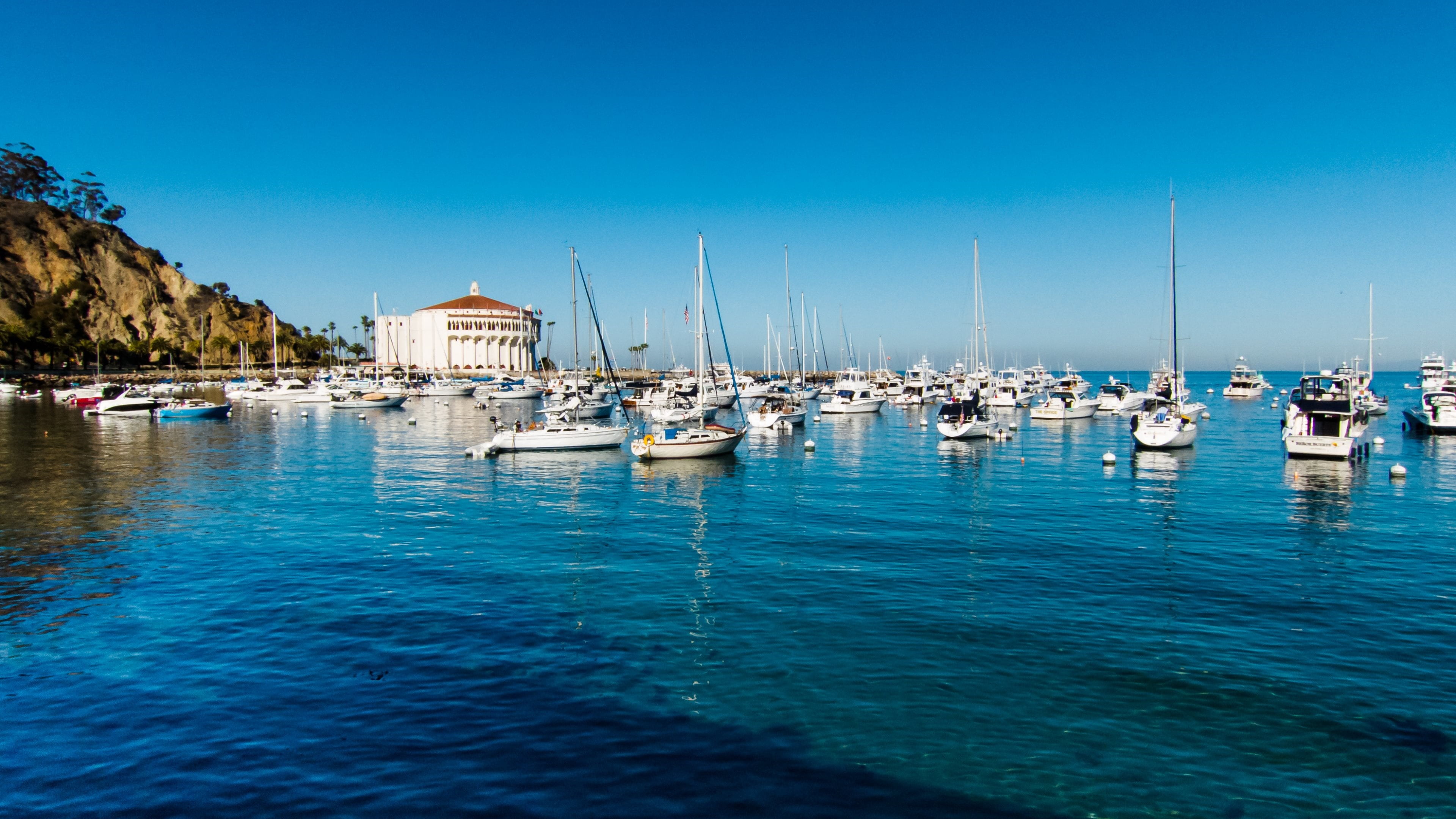 travel, blue water, california, pacific ocean, yachting, day, sailboat, water, mode of transportation, blue, 4K, blue sky, boat, no people, beauty in nature, HD Wallpaper