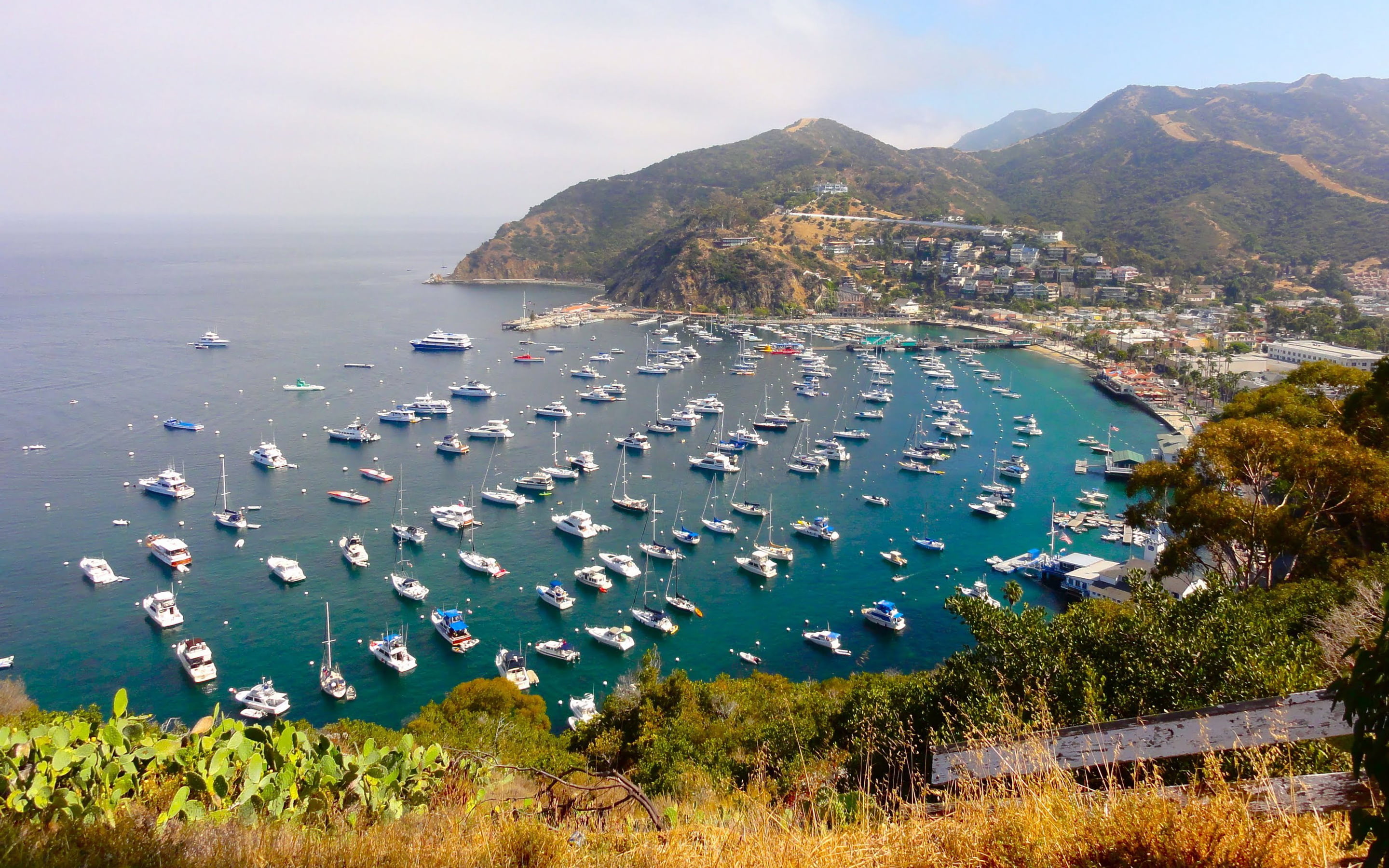 outdoors, beautiful, tree, catalina, santa, land, plant, high angle view, tranquil scene, nature, water, bay, sky, island, california, scenics - nature, HD Wallpaper