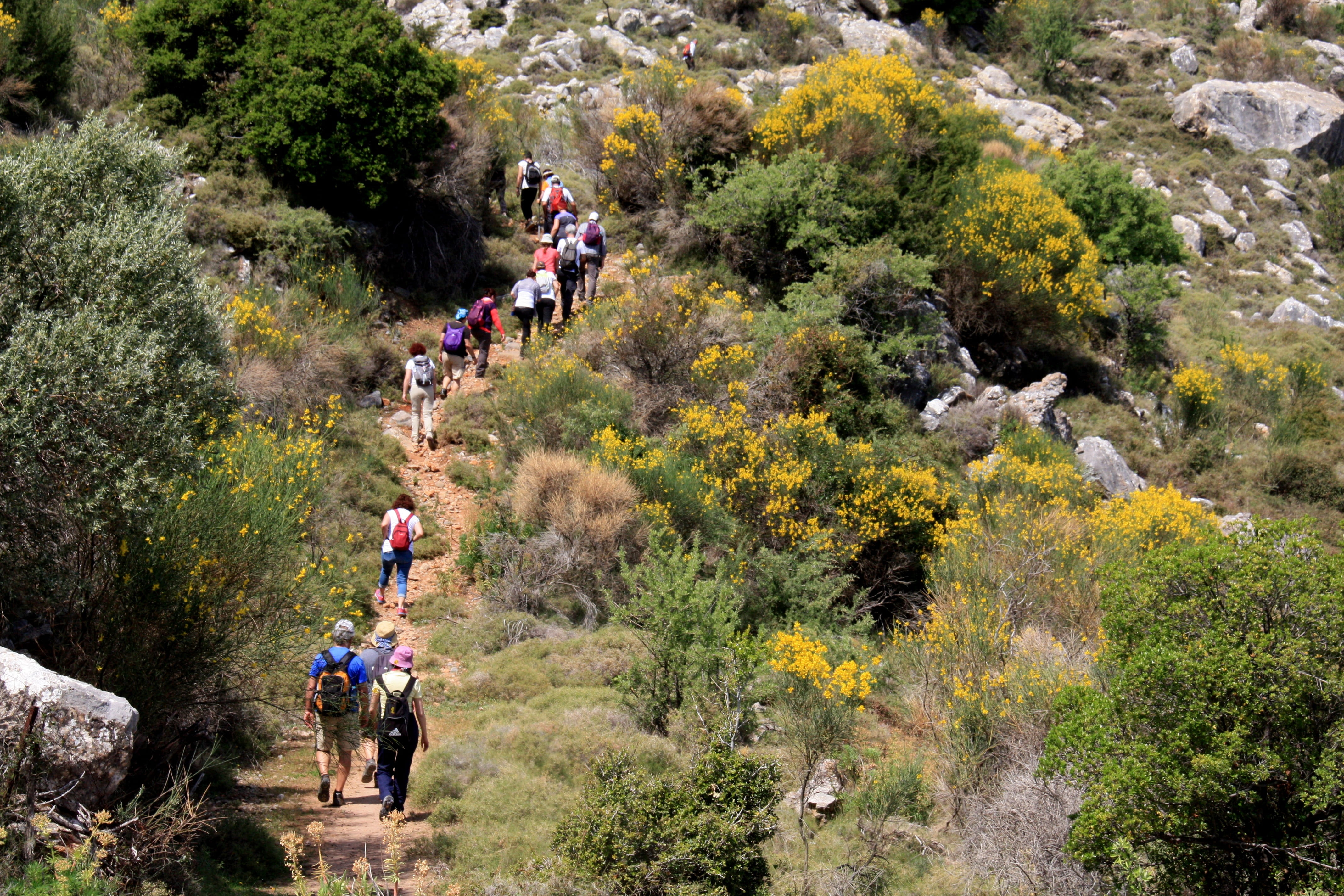 nature, day, 4K, activity, men, hiking, real people, ada, leisure activity, transportation, natural life, growth, adventure, walk, people, lifestyles, HD Wallpaper