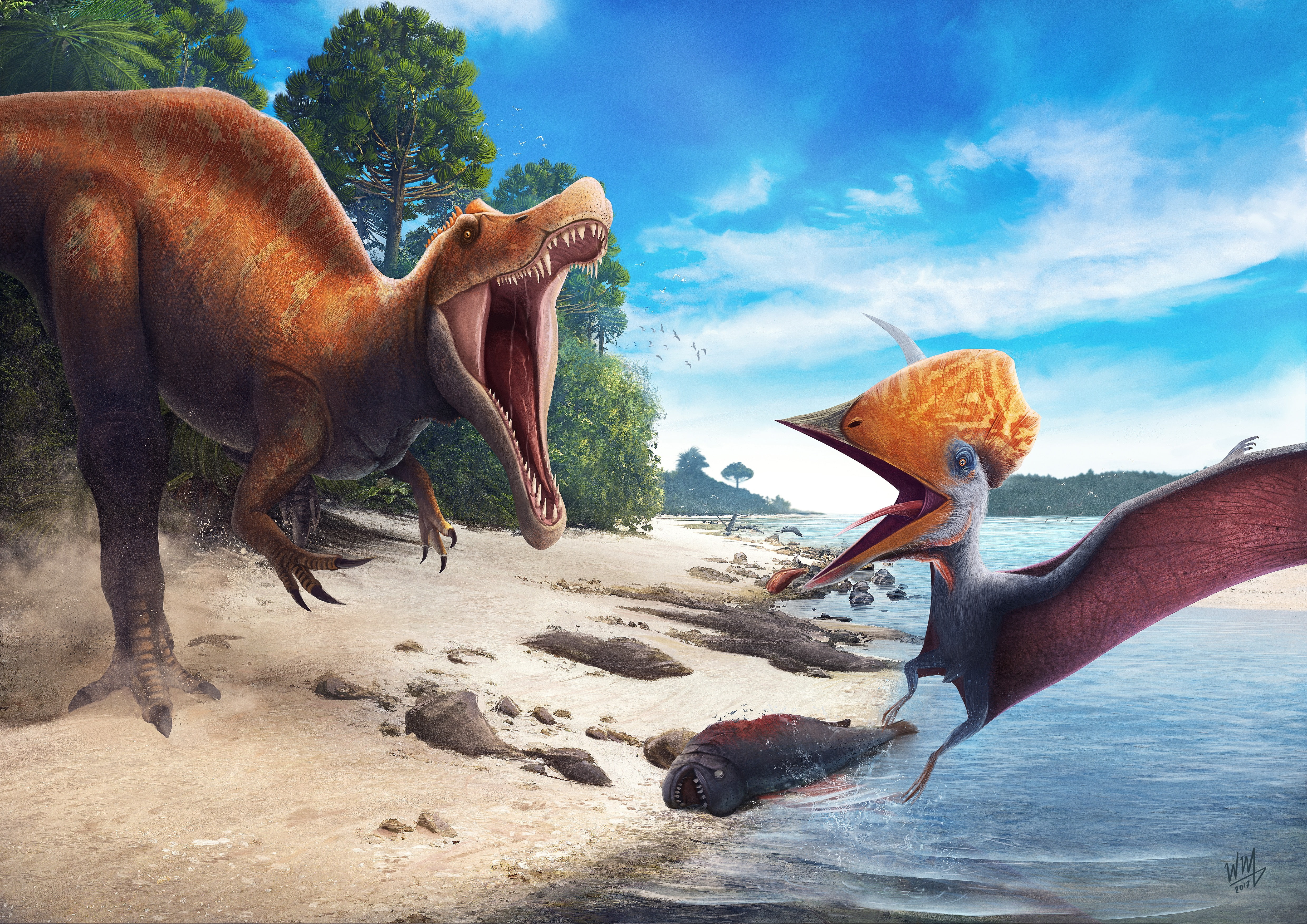 4K, Tupuxuara, Competition, Dinosaurs, Angaturama, 4K, Northeast, HD Wallpaper