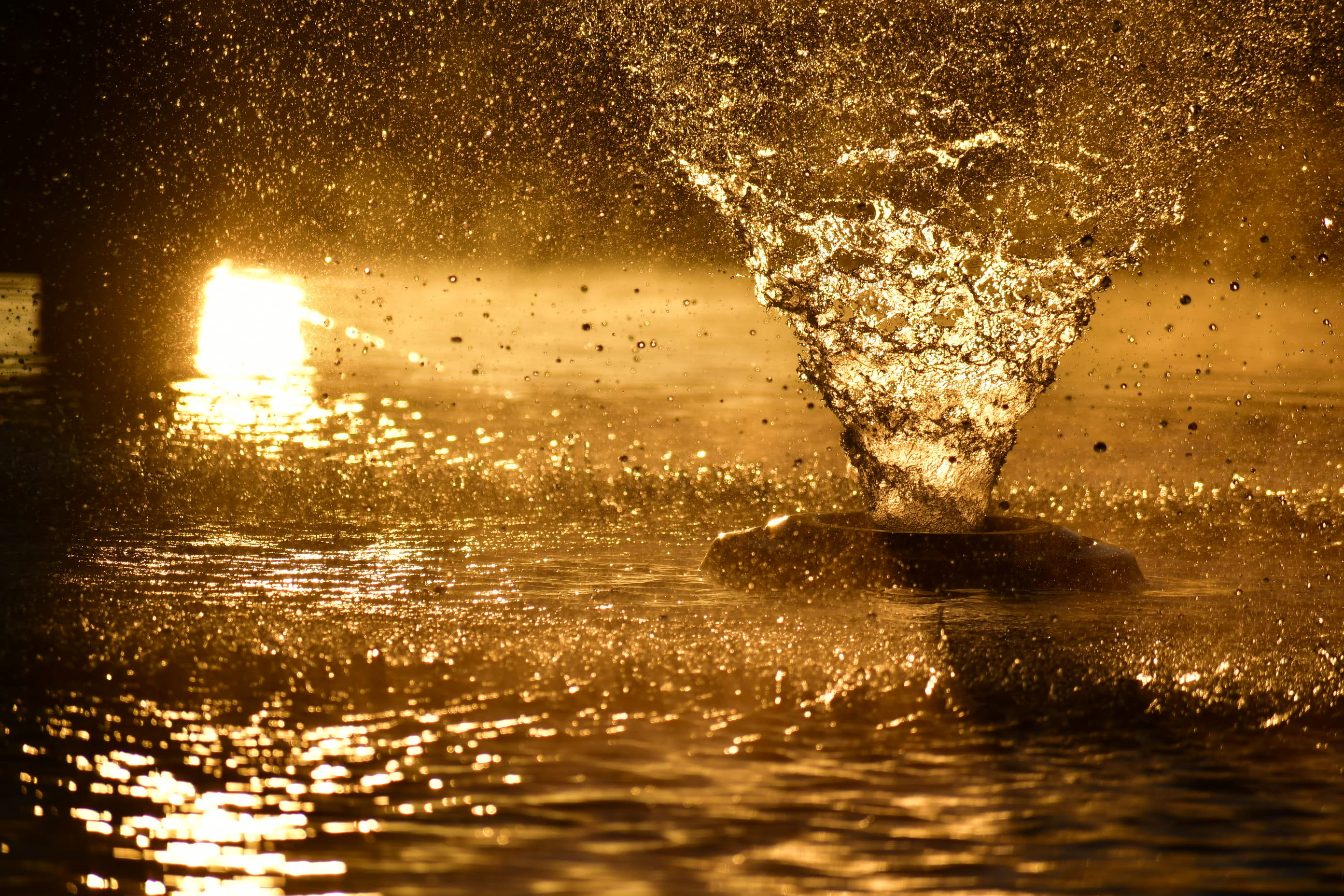 waterfront, nature, mount pleasant, sea, sunset, wet, outdoors, reflection, beauty in nature, sun, orange color, united states, drop, sunlight, splashing, HD Wallpaper