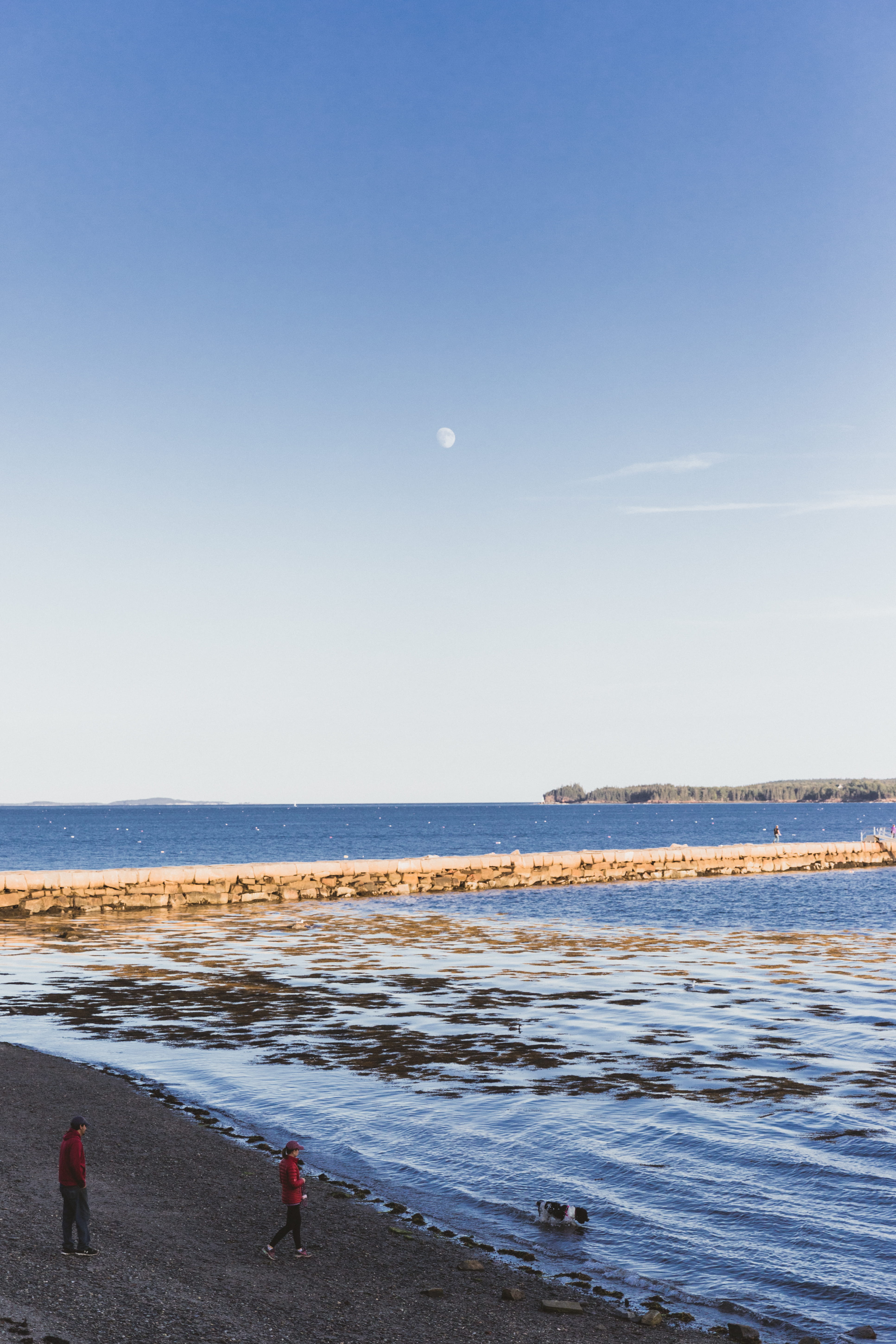 nature, men, moon, horizon over water, lifestyles, outdoors, horizon, people, day, leisure activity, rockport, breakwater access trail, beach, 5K, sky, Phone HD Wallpaper