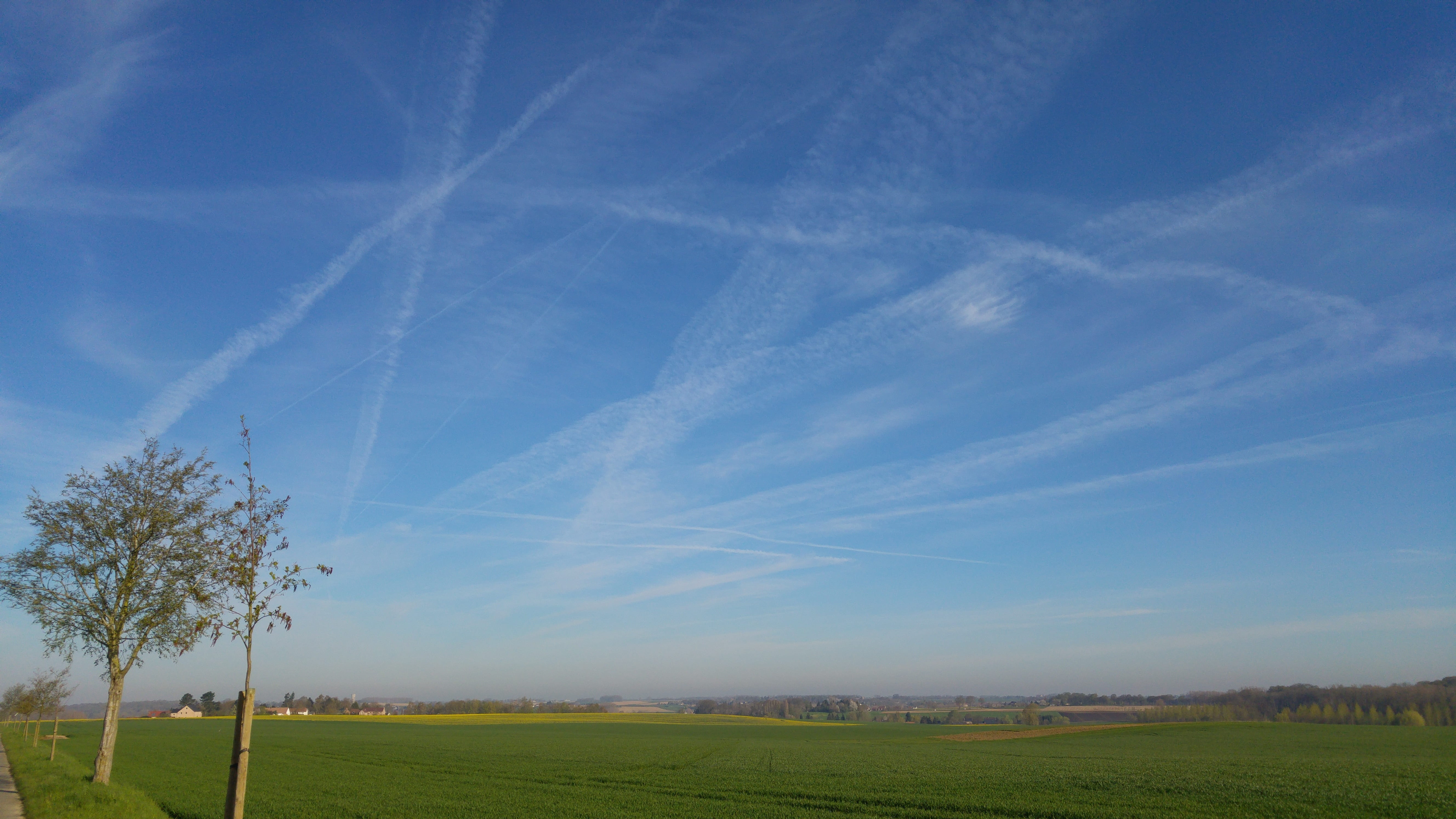 field, sky, scenics - nature, environment, tranquil scene, grass, walloon brabant, chemtrails, vapor trail, tranquility, no people, nature, beauty in nature, HD Wallpaper