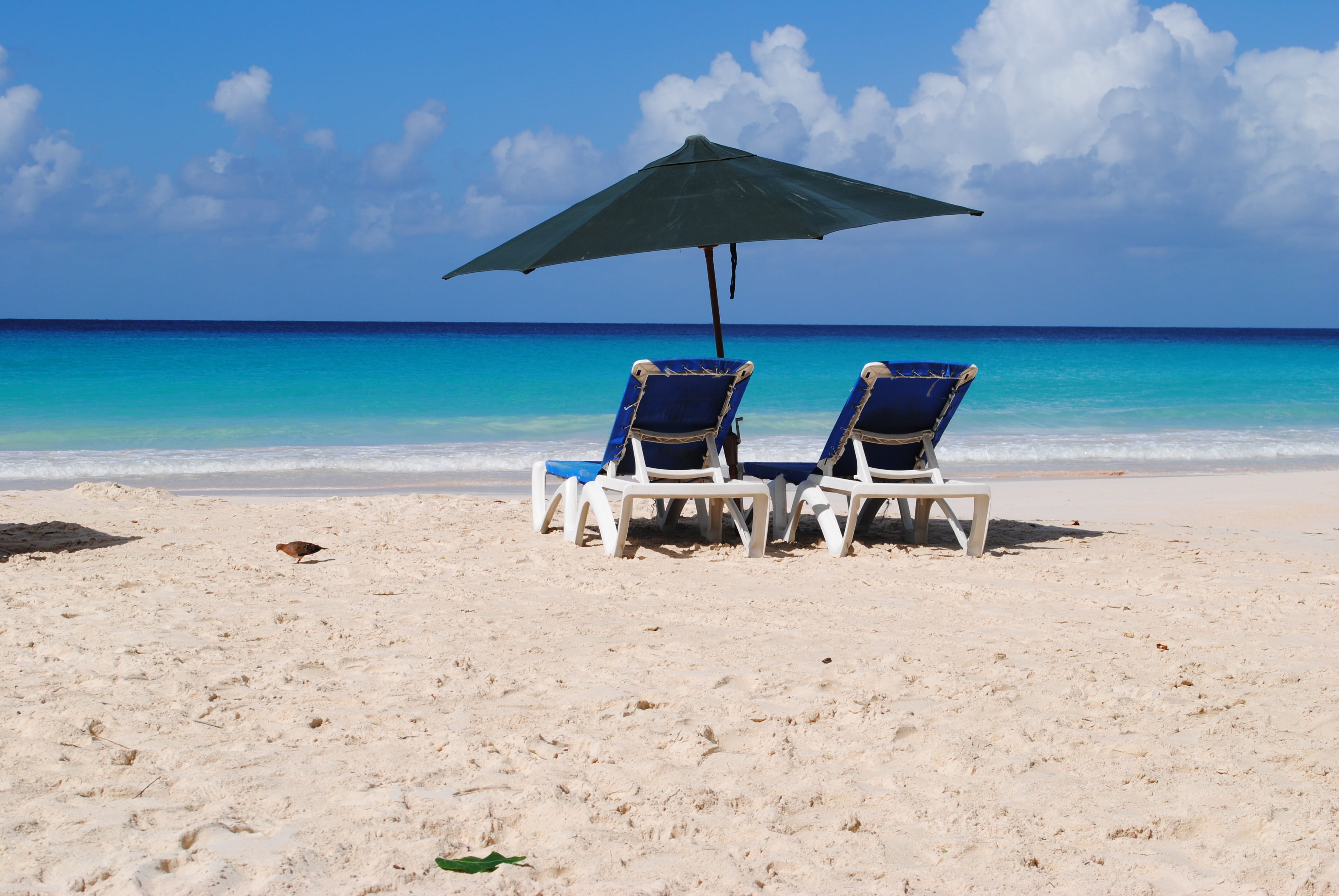 horizon, seat, beauty in nature, tranquility, umbrella, lounge, horizon over water, lounge chair, 4K, chair, holidays, idyllic, land, blue, water, beach, HD Wallpaper