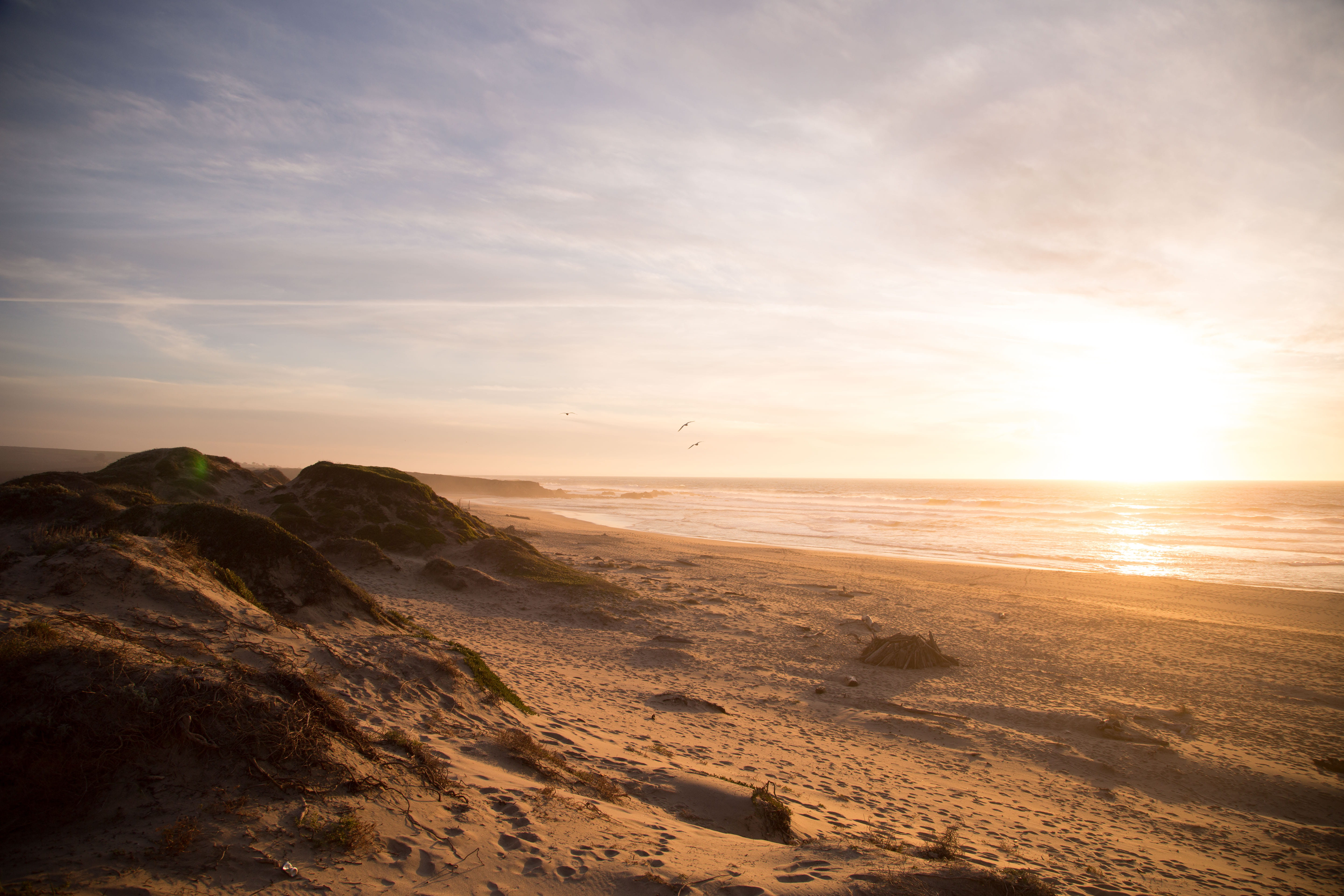 non-urban scene, land, sea, shore, sky, nature, beach, no people, horizon, ocean, sunset, landscape, sand, coast, outdoors, sun, scenics - nature, seagull, HD Wallpaper