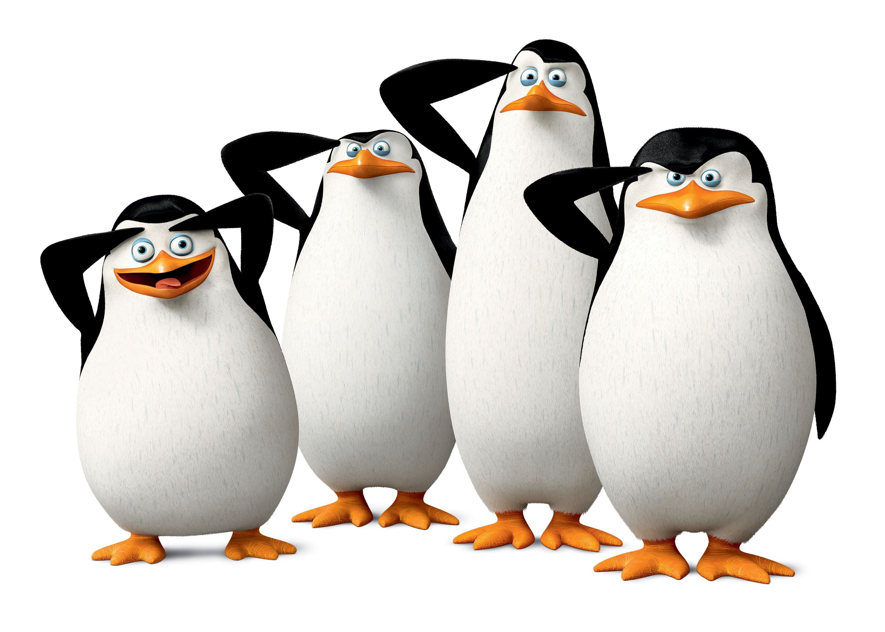 penguins of madagascar, 2K, HD Wallpaper
