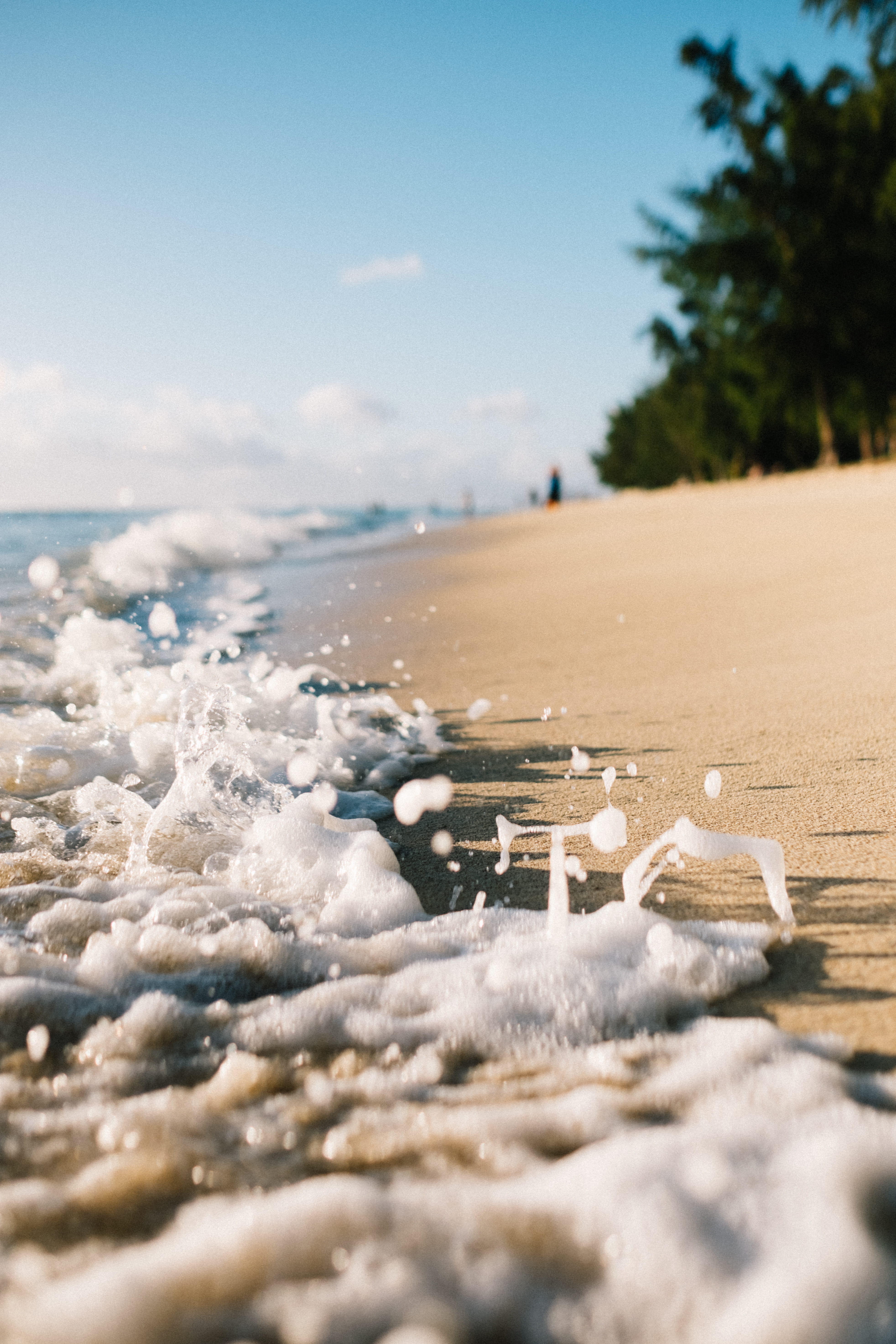 tree, sport, trees, splash, photo, beauty in nature, ocean, waves, sand, sea, closeup, 5K, mauritiu, bokeh, motion, water, beach, foam, sky, aquatic sport, Phone HD Wallpaper