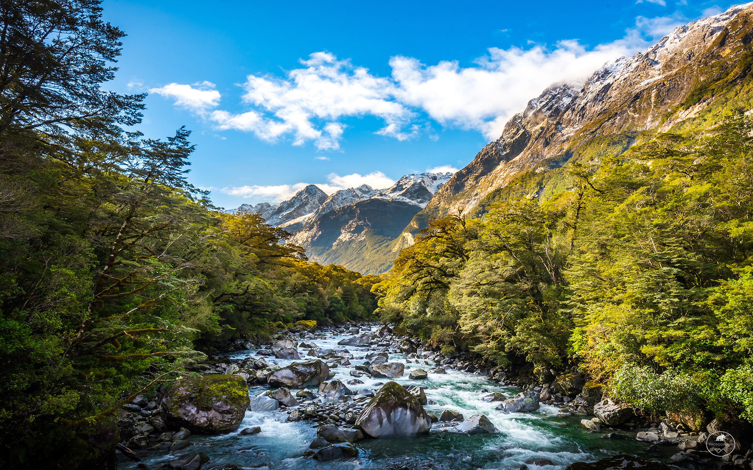 landscape, white, resolution, dense, sky, zealand, southland, rock, 2K, tutoko, green, trees, hd, new, river, clouds, HD Wallpaper