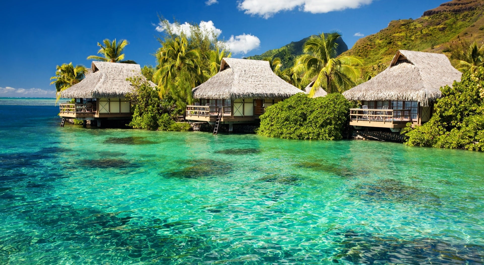 sea, roof, waterfront, turquoise colored, hut, 1080P, thatched roof, no people, Beach, tranquil scene, sky, Nature, scenics - nature, tree, architecture, HD Wallpaper