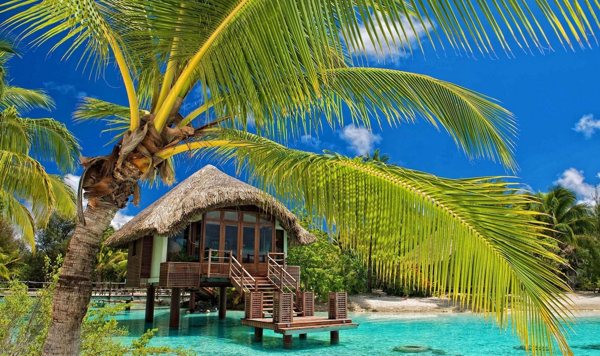 sea, nature, summer, landscape, beach, tropical, resort, 1080P, bungalow, palm trees, water, HD Wallpaper