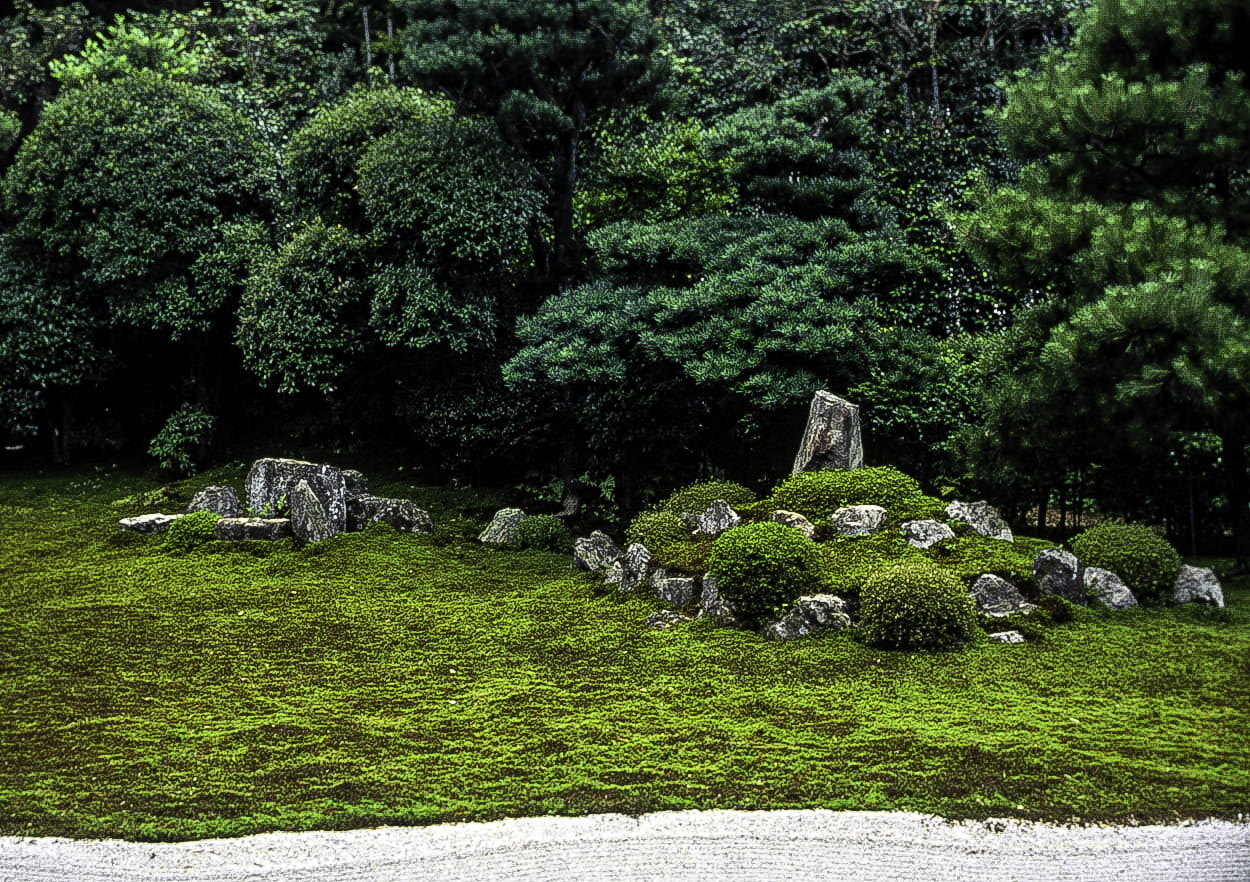 outdoors, Japan, ornamental Garden, hedge, formal Garden, day, green Color, tranquility, tree, sculpture, plant, photo, beauty in nature, japan, grass, HD Wallpaper