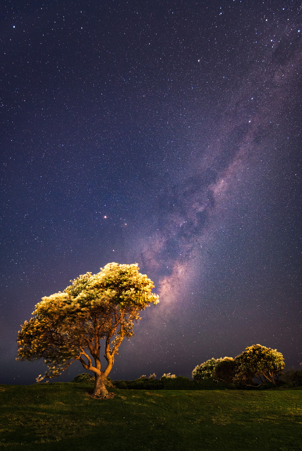 space, tranquility, astronomy, tree, field, Milky Way, outdoors, grass, 1080P, nature, night, stars, Australia, star - space, landscape, space and astronomy, Phone HD Wallpaper